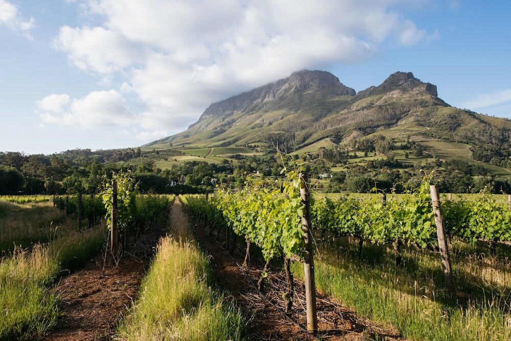Фото Banhoek Lodge