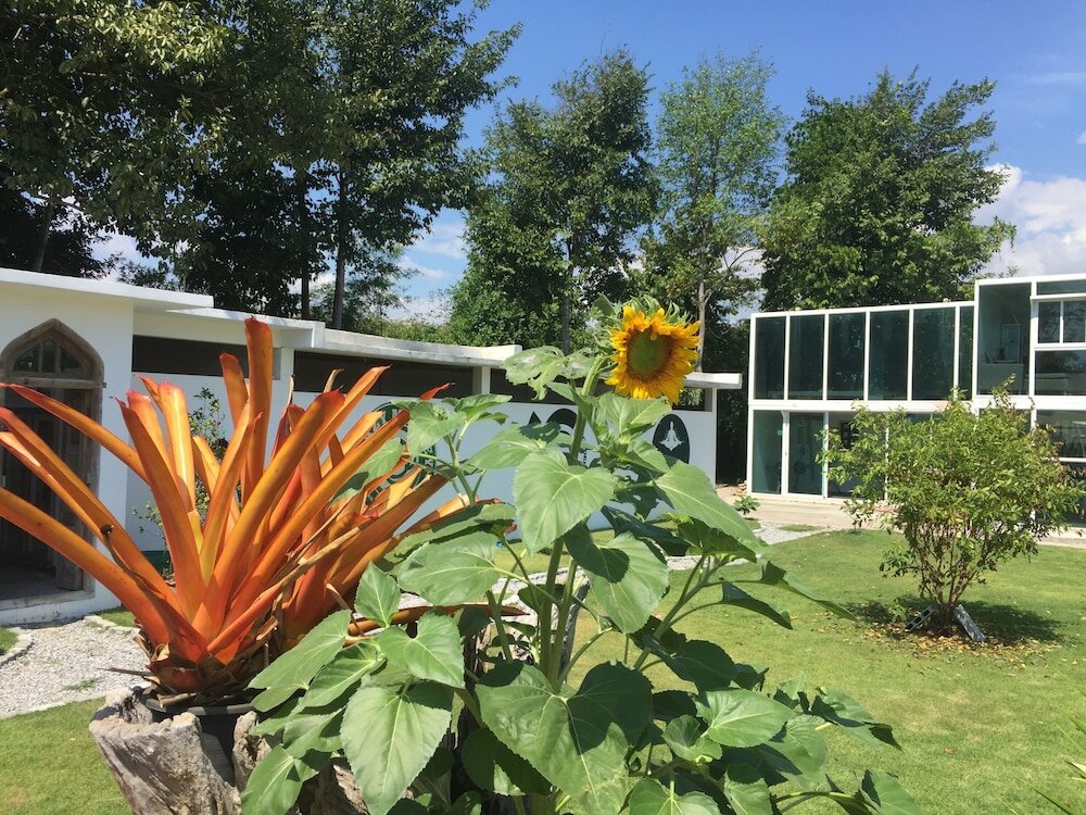 Фото Tree Roots Retreat