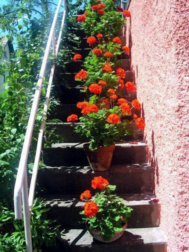 Фото Hotel Scherer