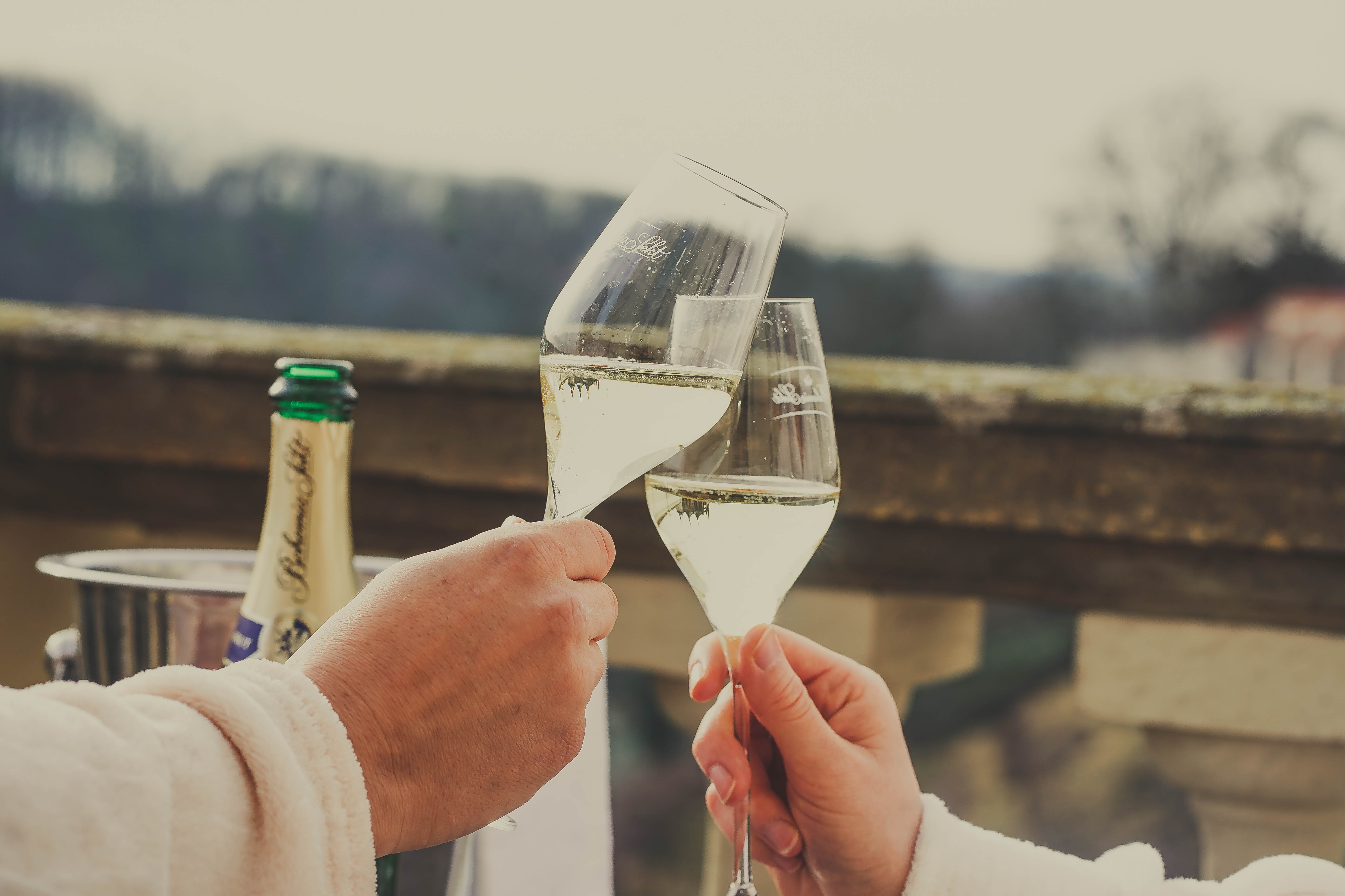 Фото Vila U Varhanáře