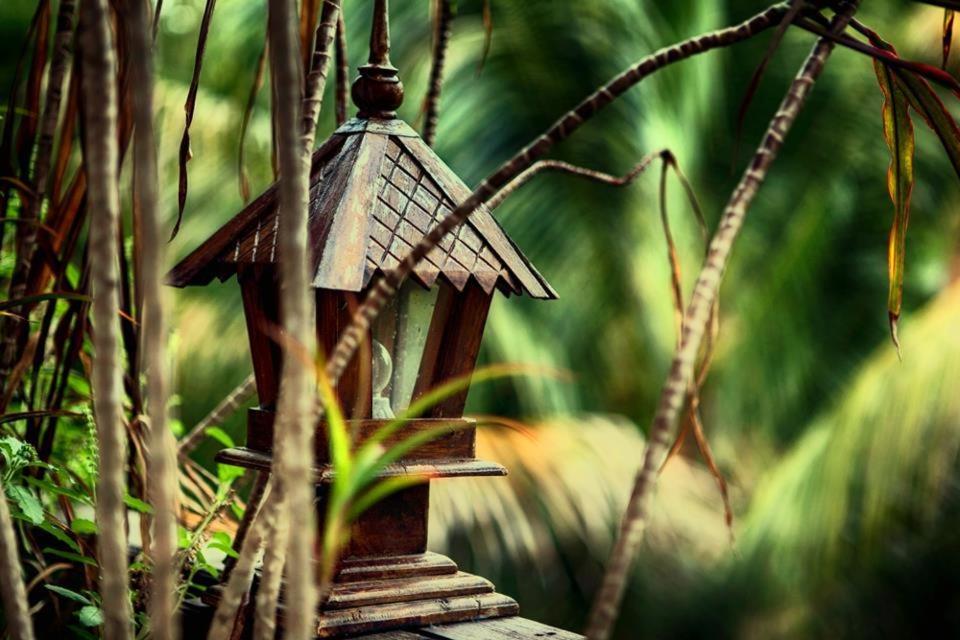Фото Shanti Boutique Hotel
