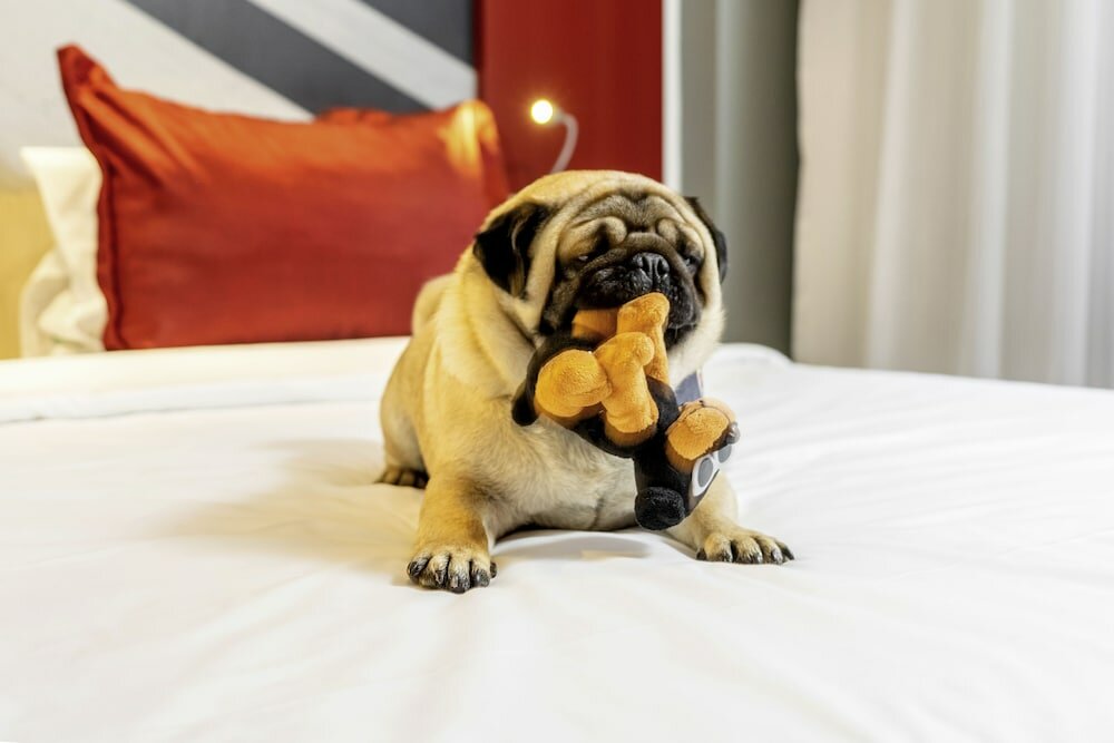 Фото Ibis Hyères Centre