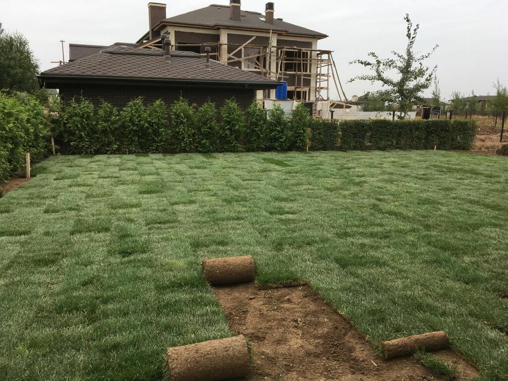 Landscape design Ada Group Landscape design, Gelendgik, photo