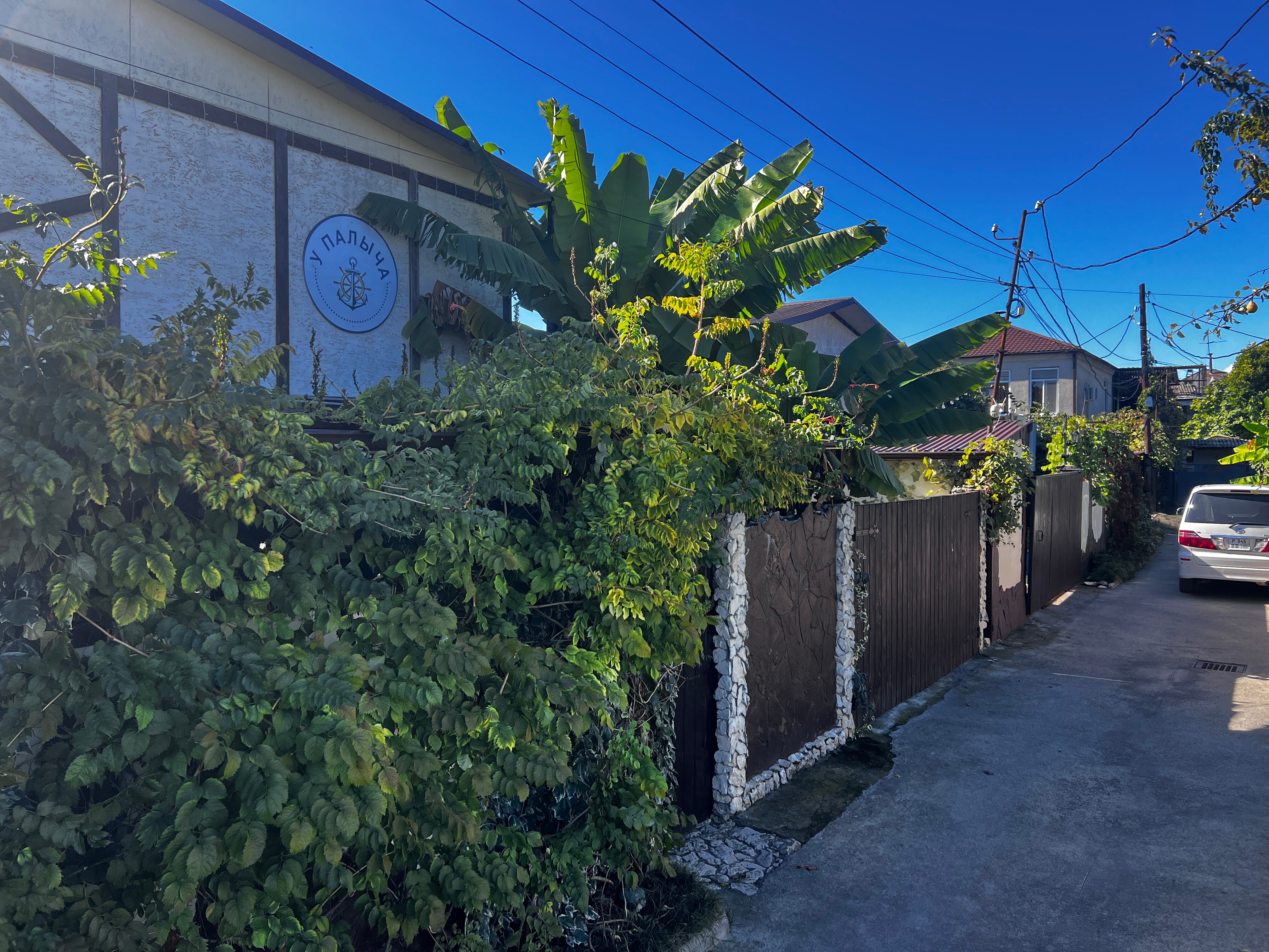 Фото У Палыча