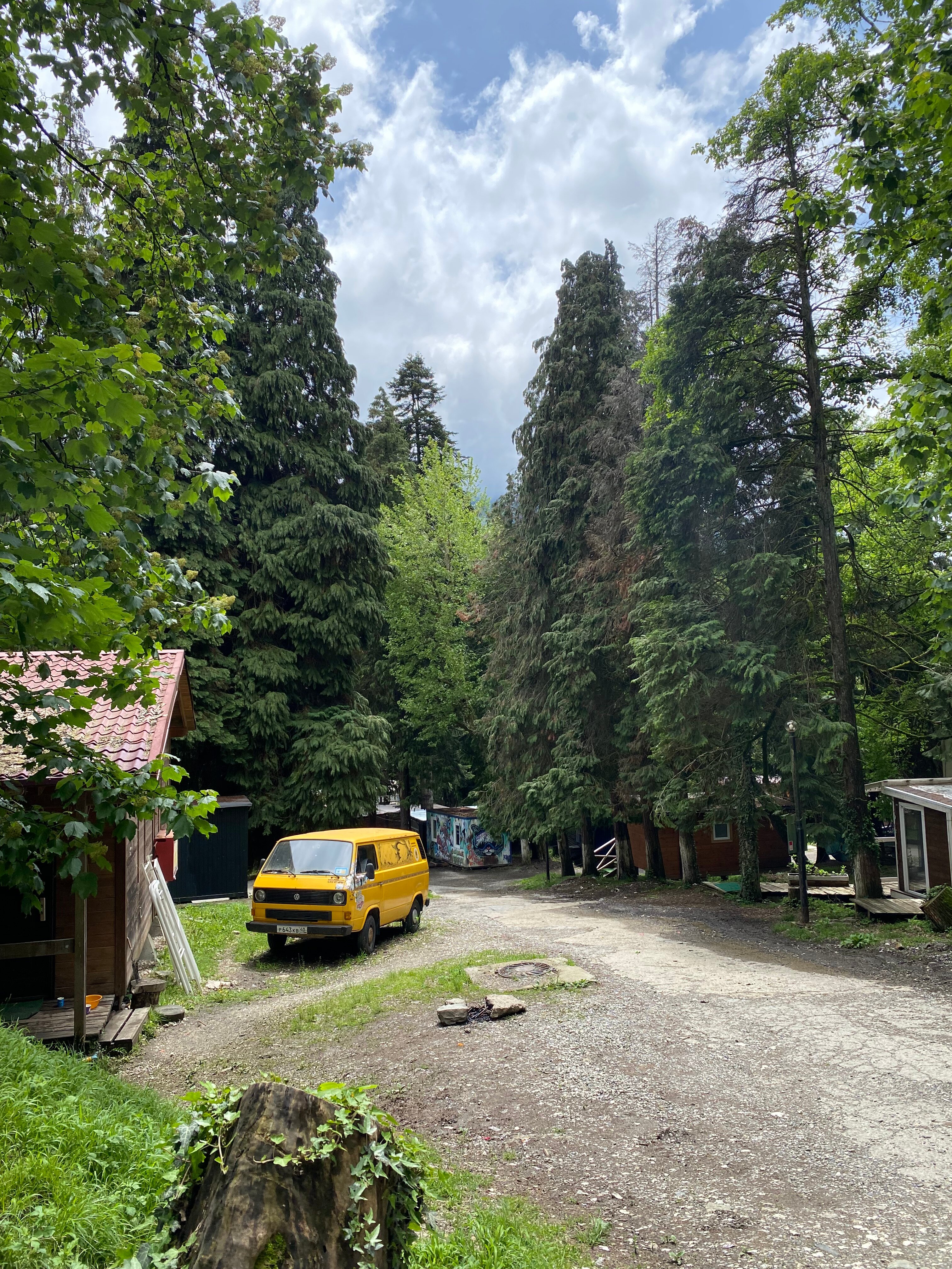 Фото Зайки в домике