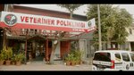 Vet216 Kosuyolu Veterinary Clinic - 24-Hour Emergency Veterinary Clinic (İstanbul, Kadikoy, Koşuyolu Mah., Salih Omurtak Sok., 86A) ، عيادة بيطرية