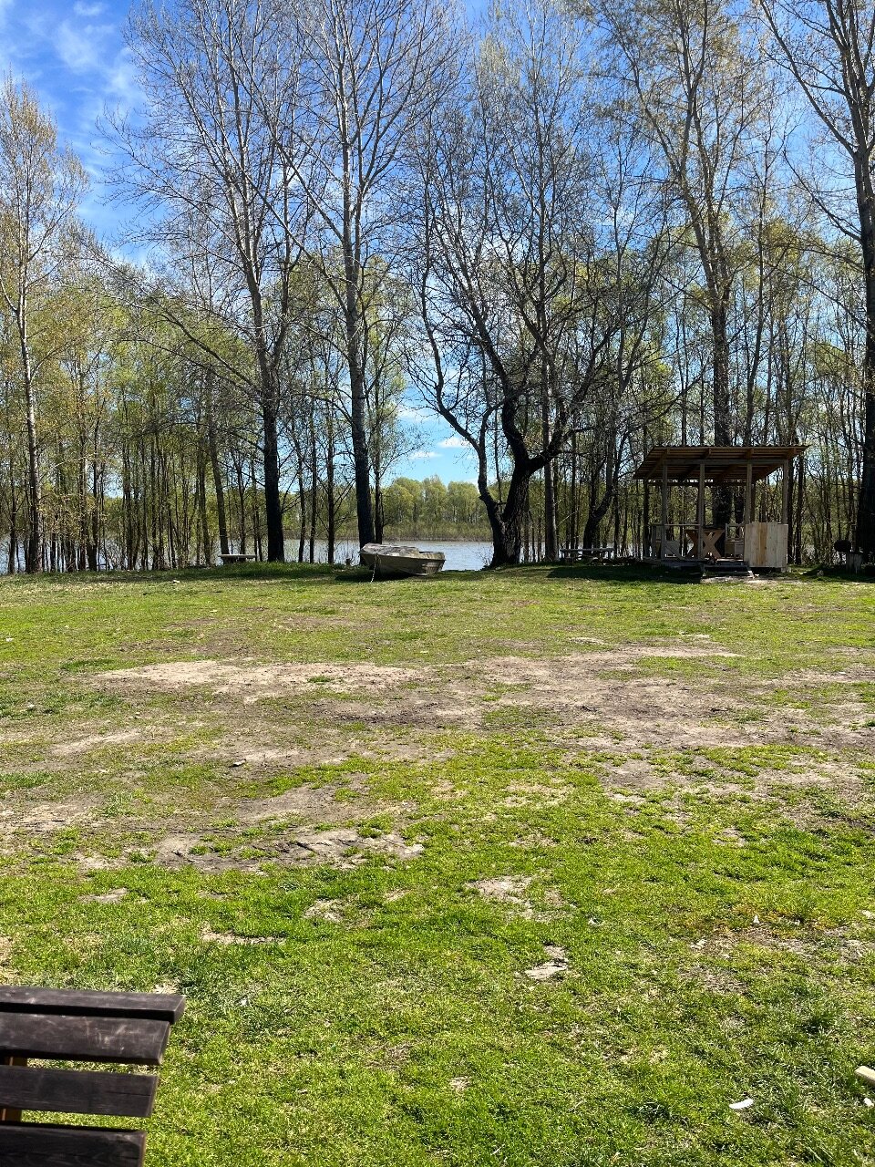 Фото Домик на дереве