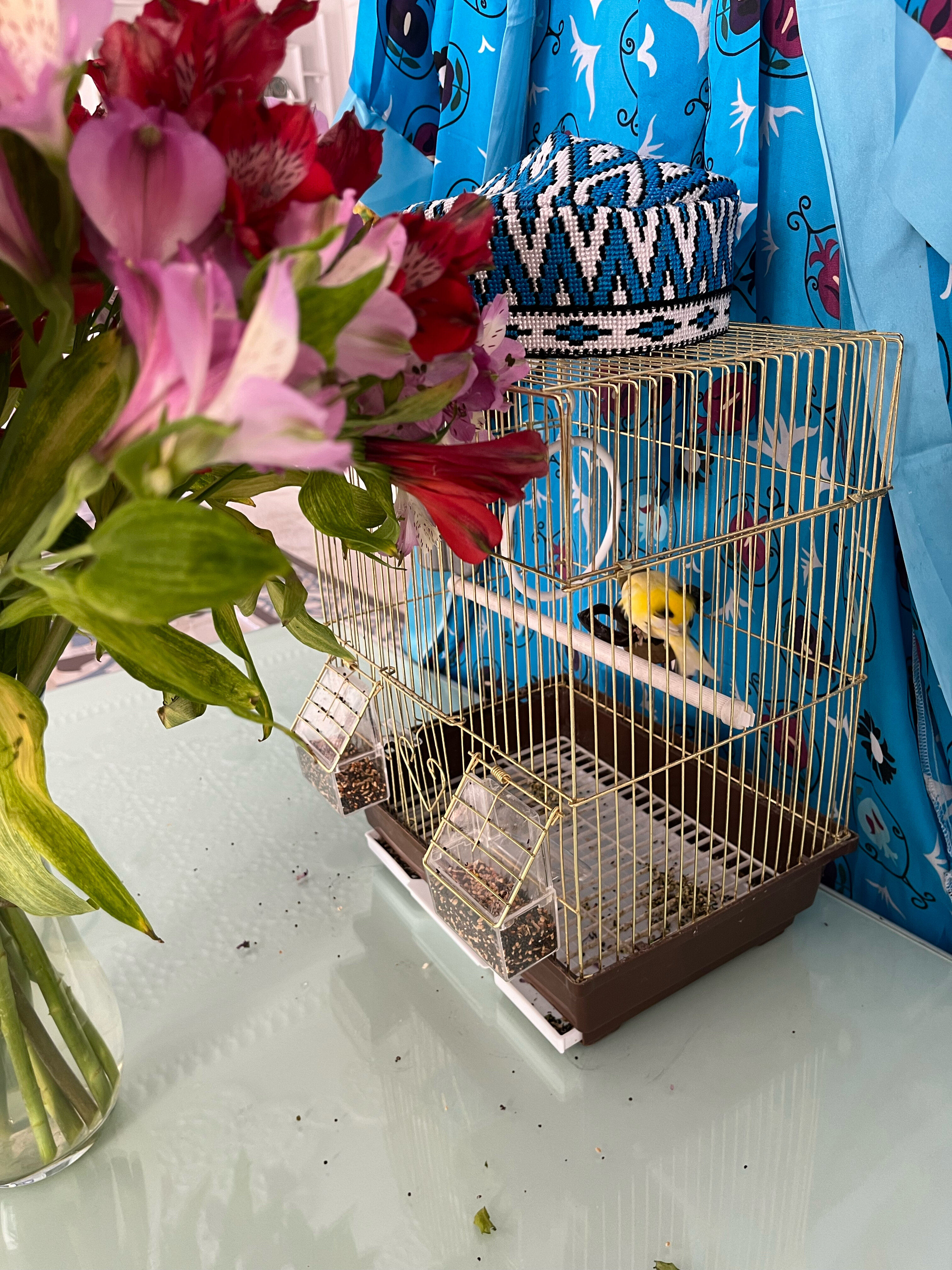 Фото Shohjahon Palace