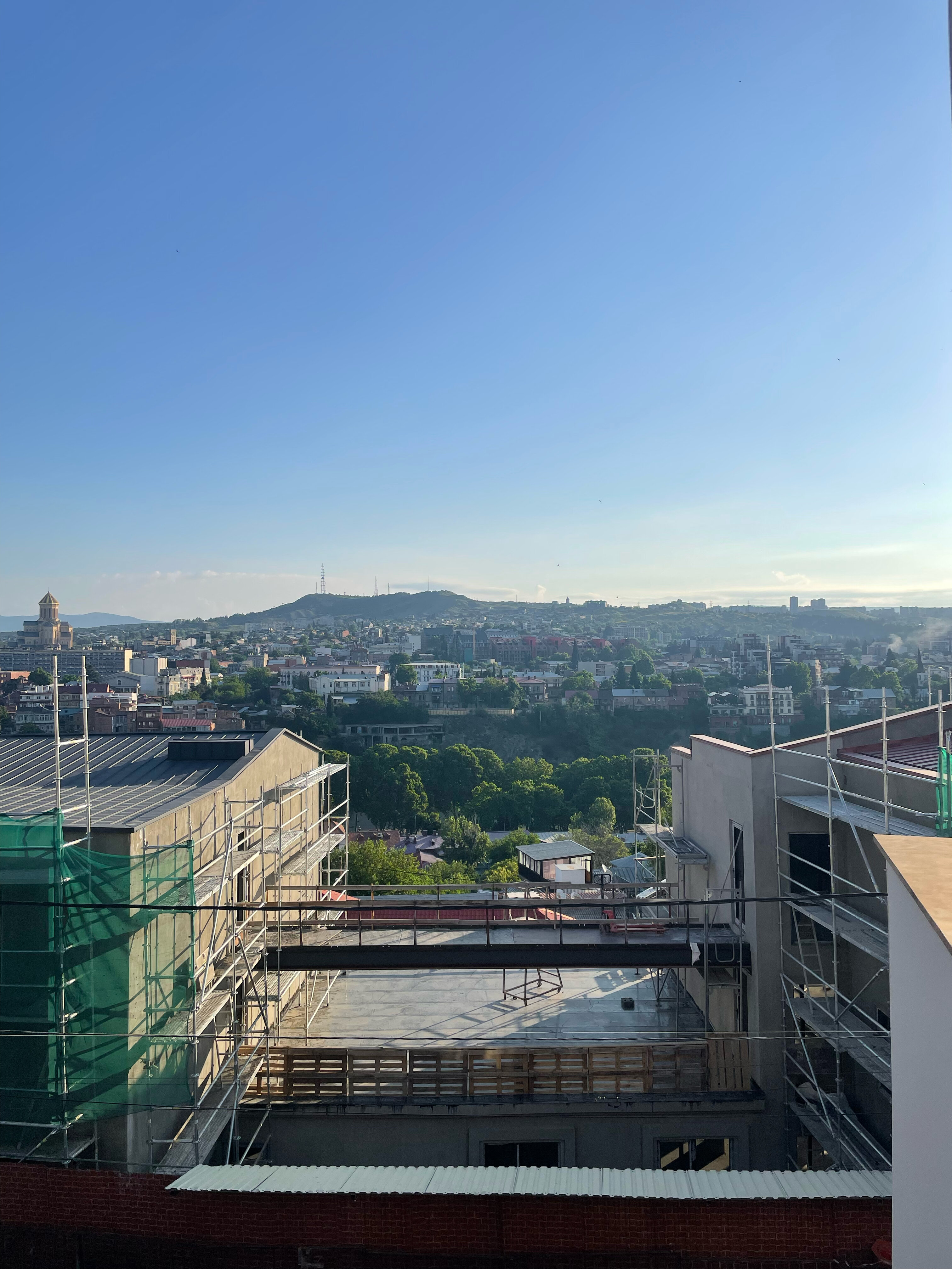 Фото Reikartz King Tamar