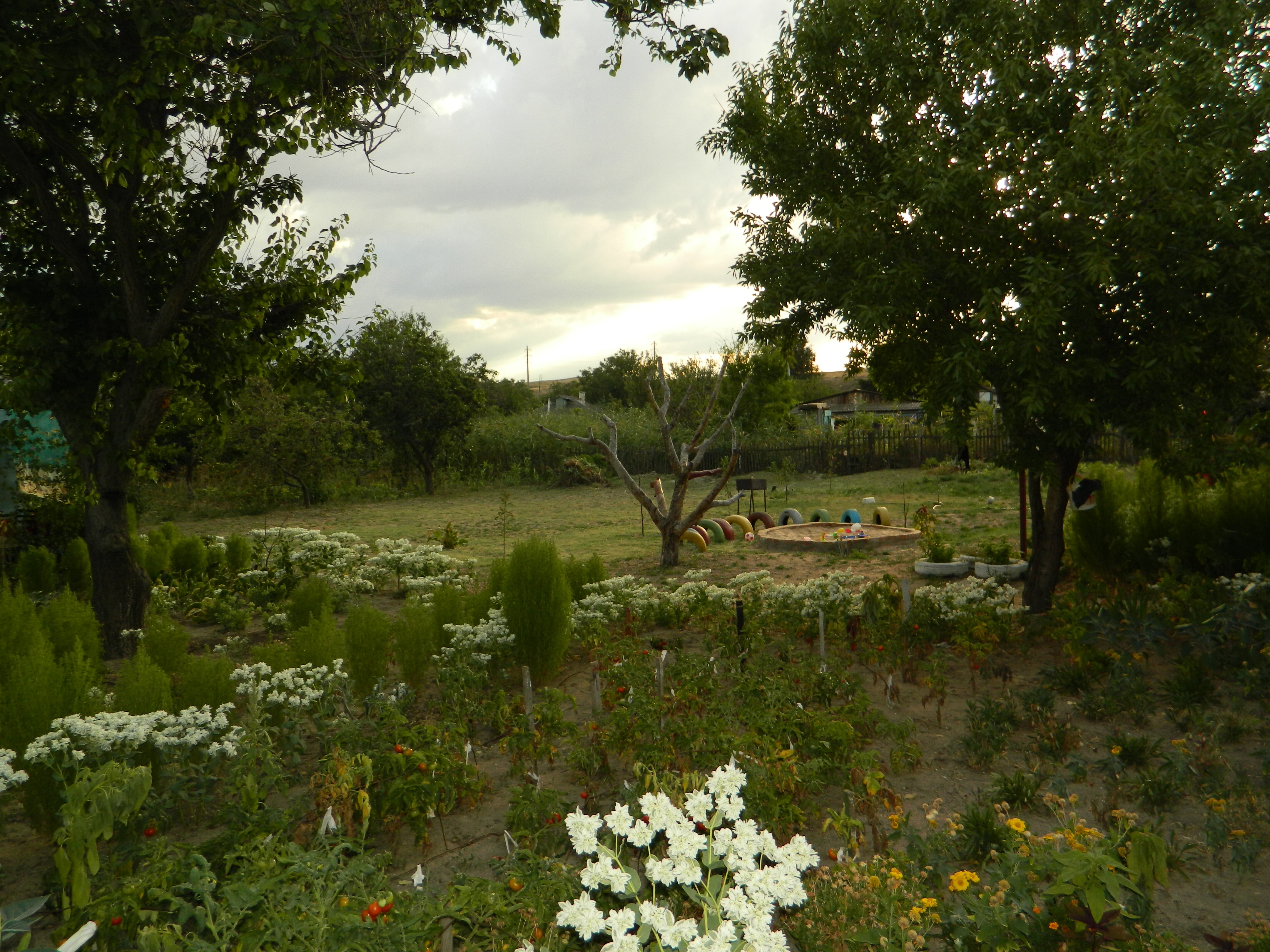 Фото Уютный дворик