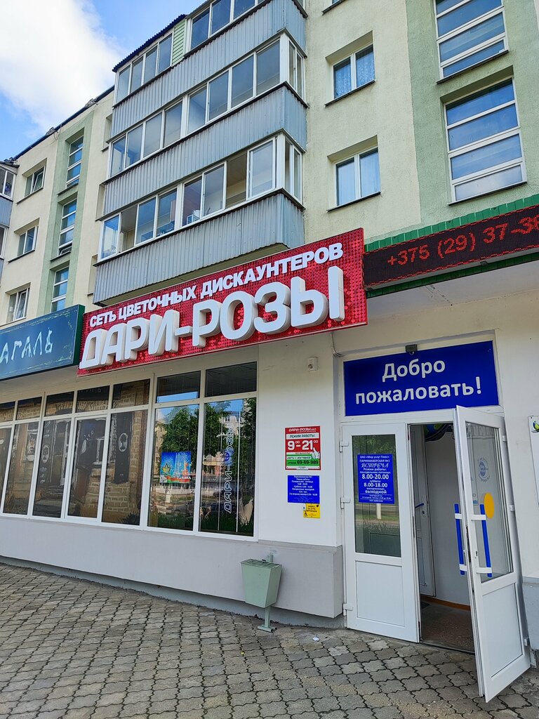 Flower shop Dari-rozy, Vitebsk, photo