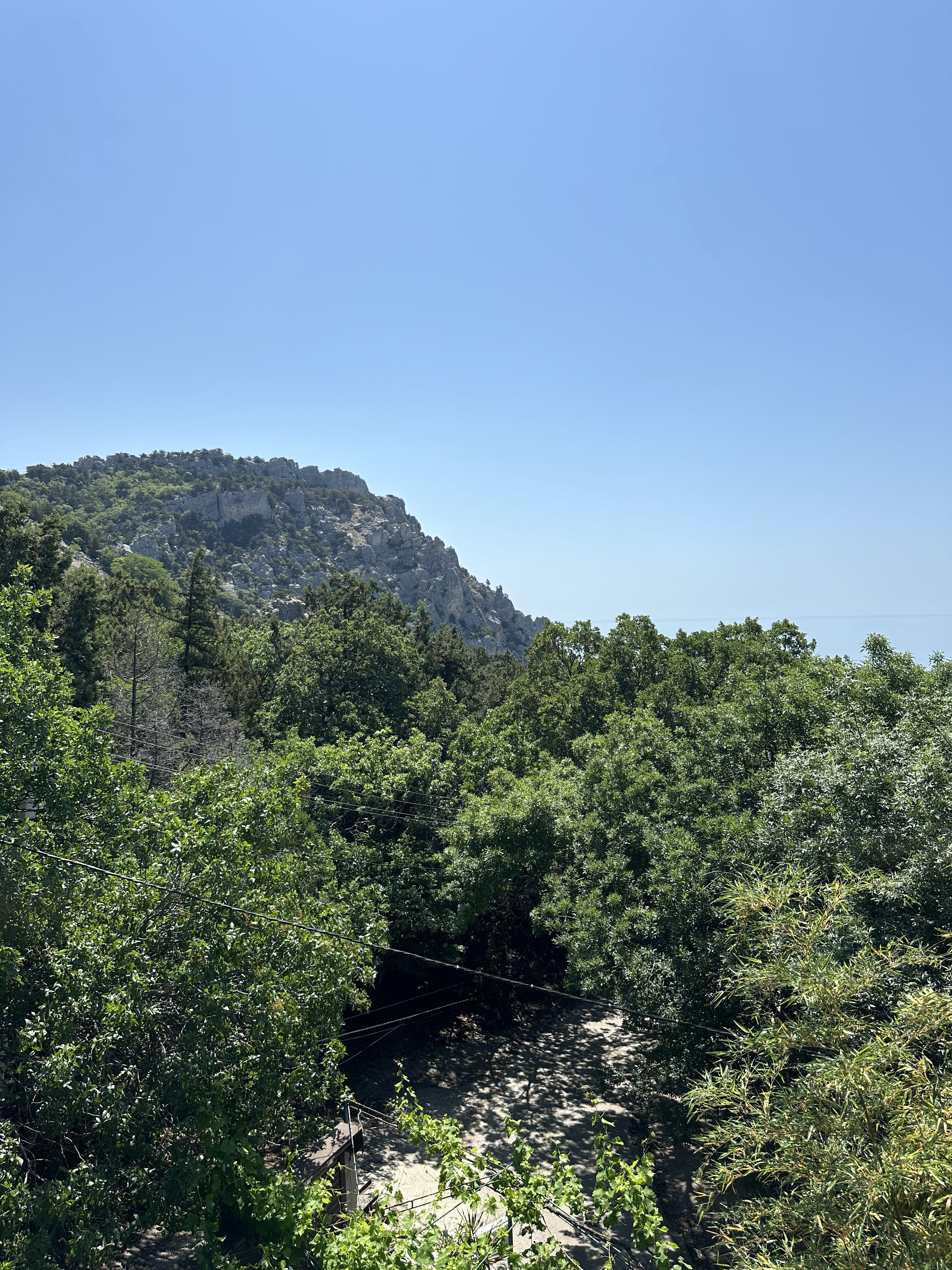 Фото Теремок