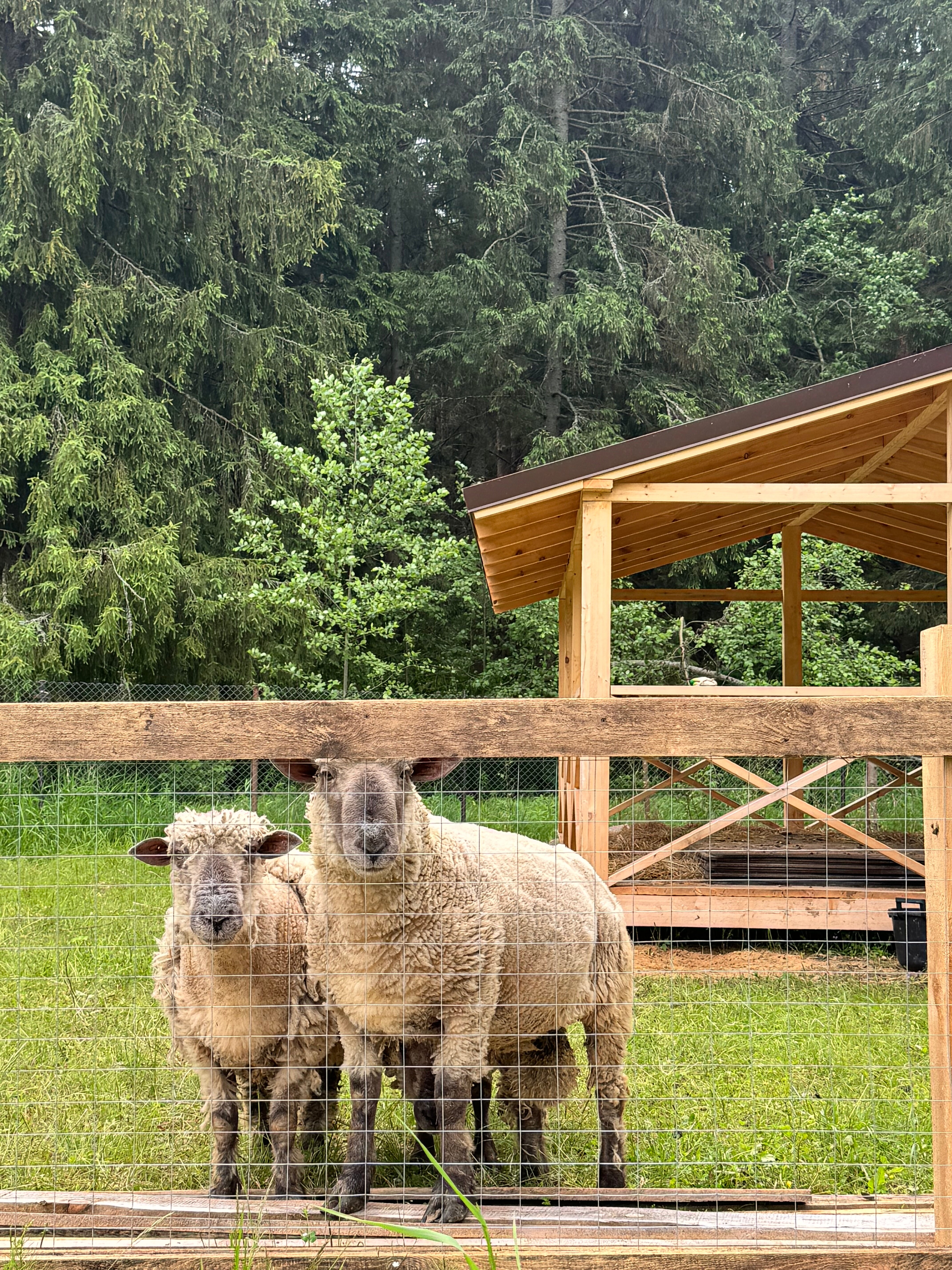 Фото Belikovo Club House