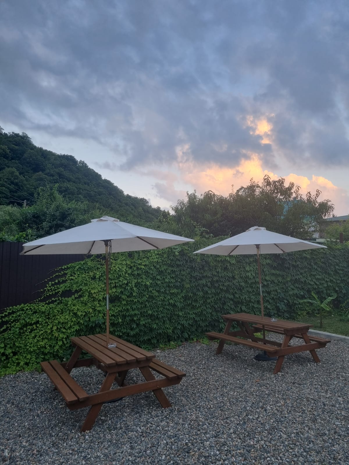 Фото Баунти