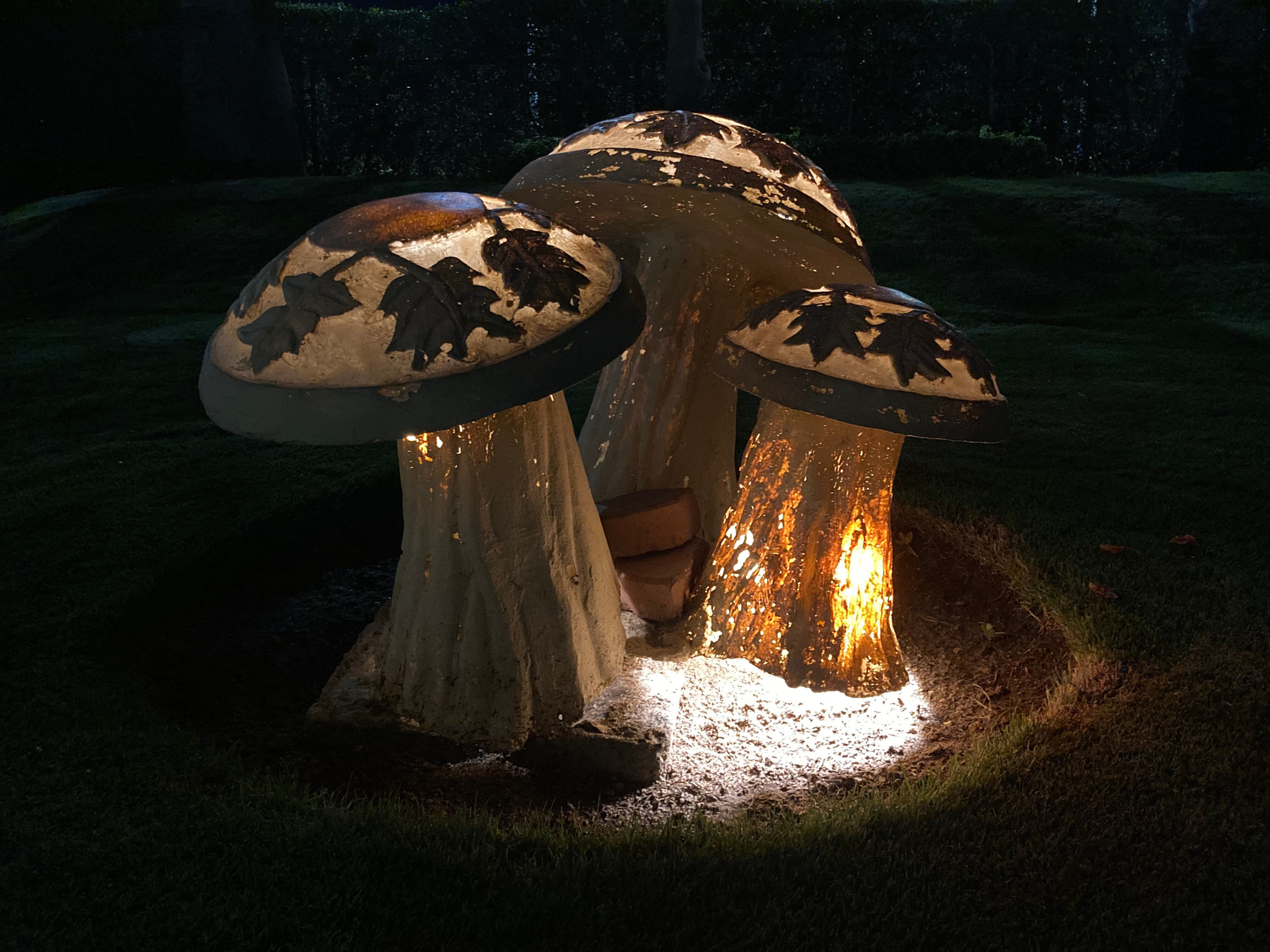 Фото Xperience St. George Homestay