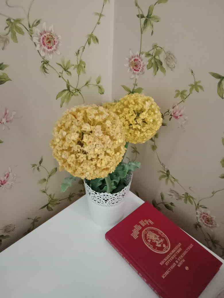 Фото Библиотека