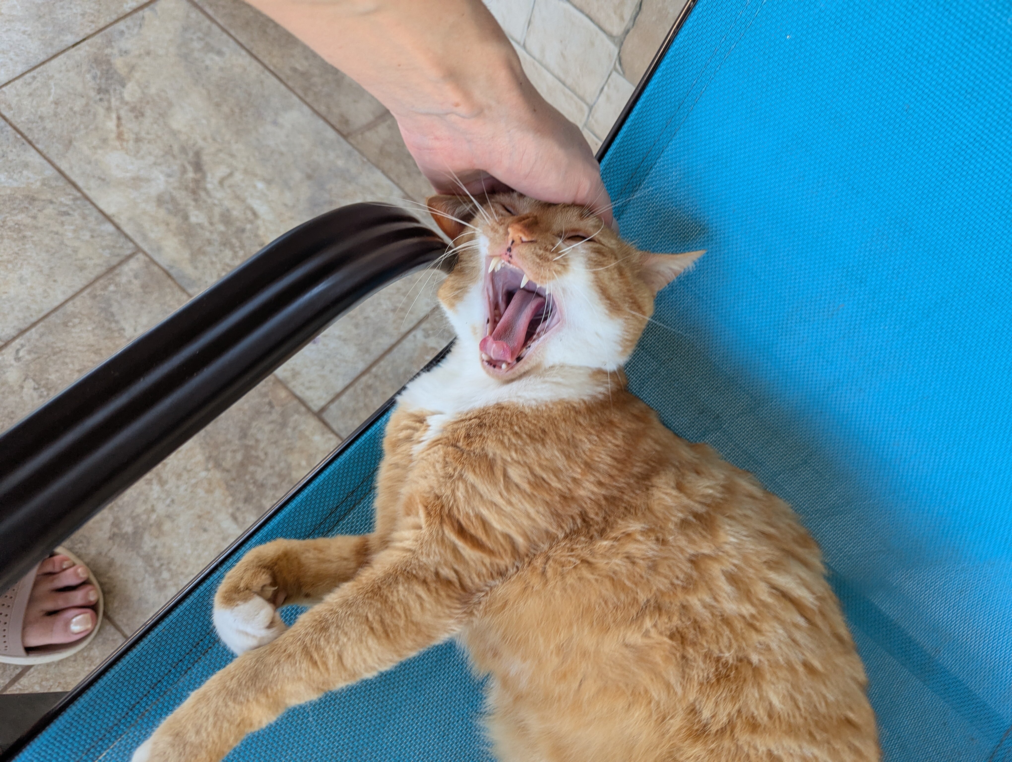 Фото Страна Души