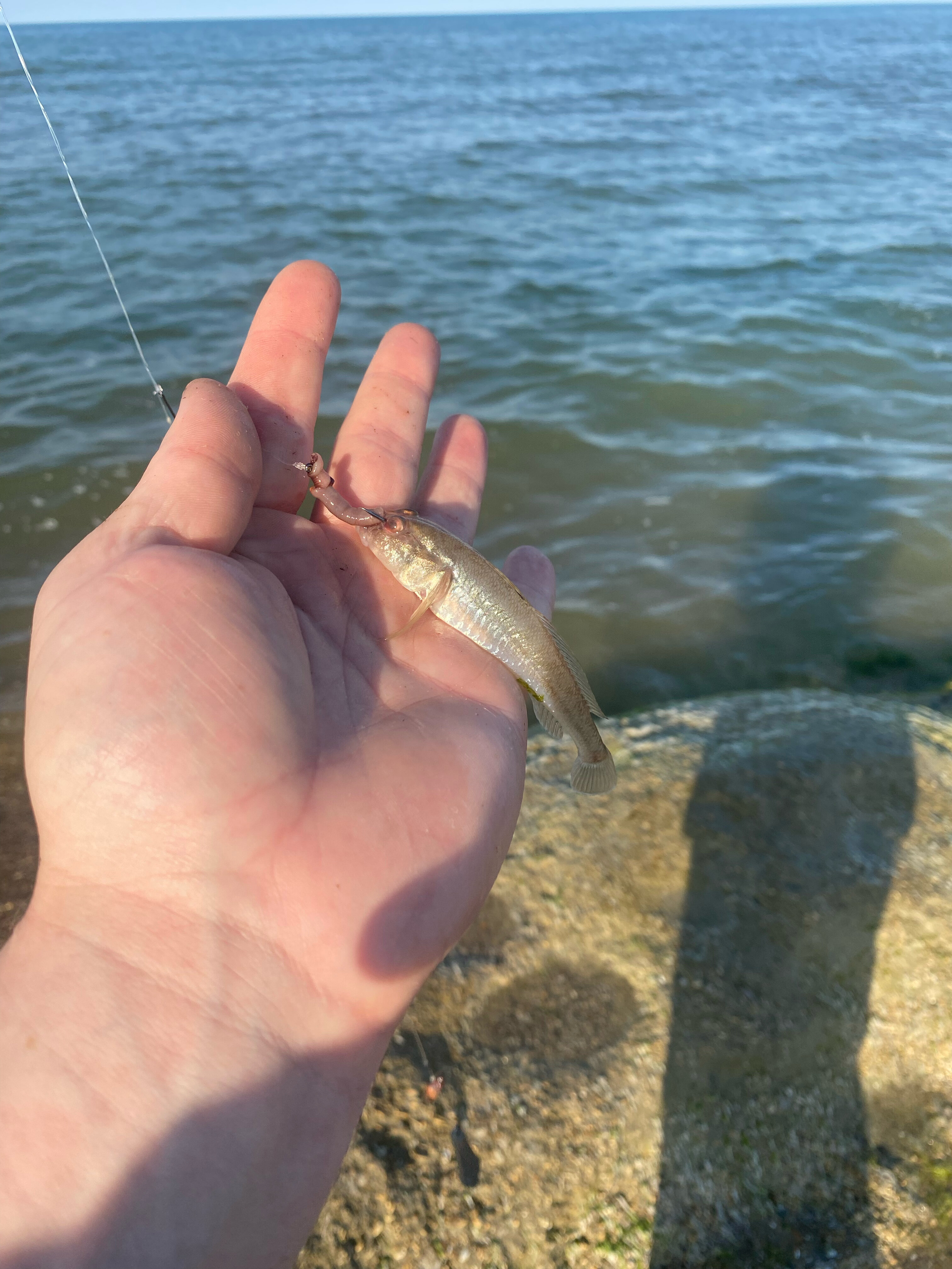 Фото Santorini Family Club