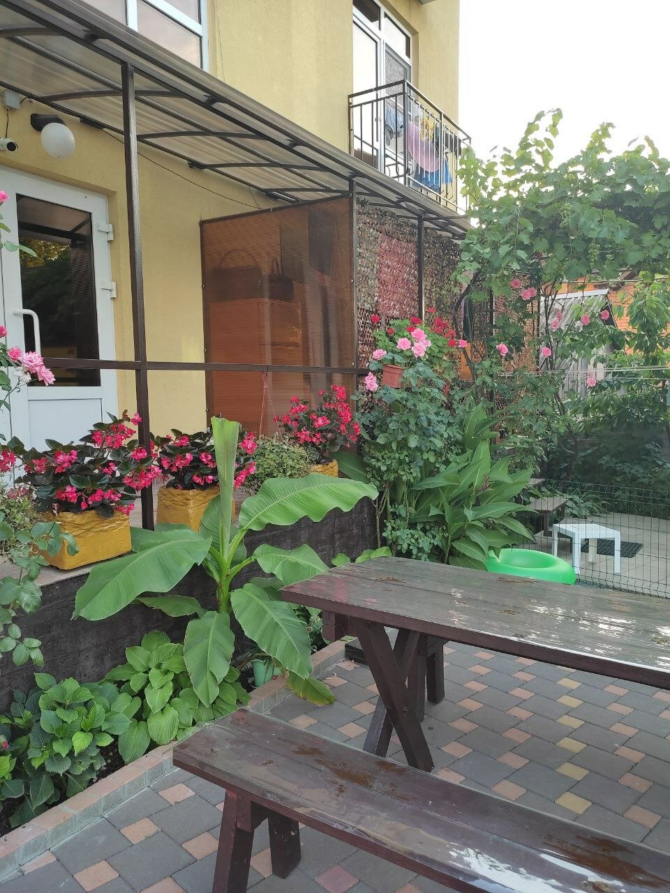 Фото Янтарная гавань