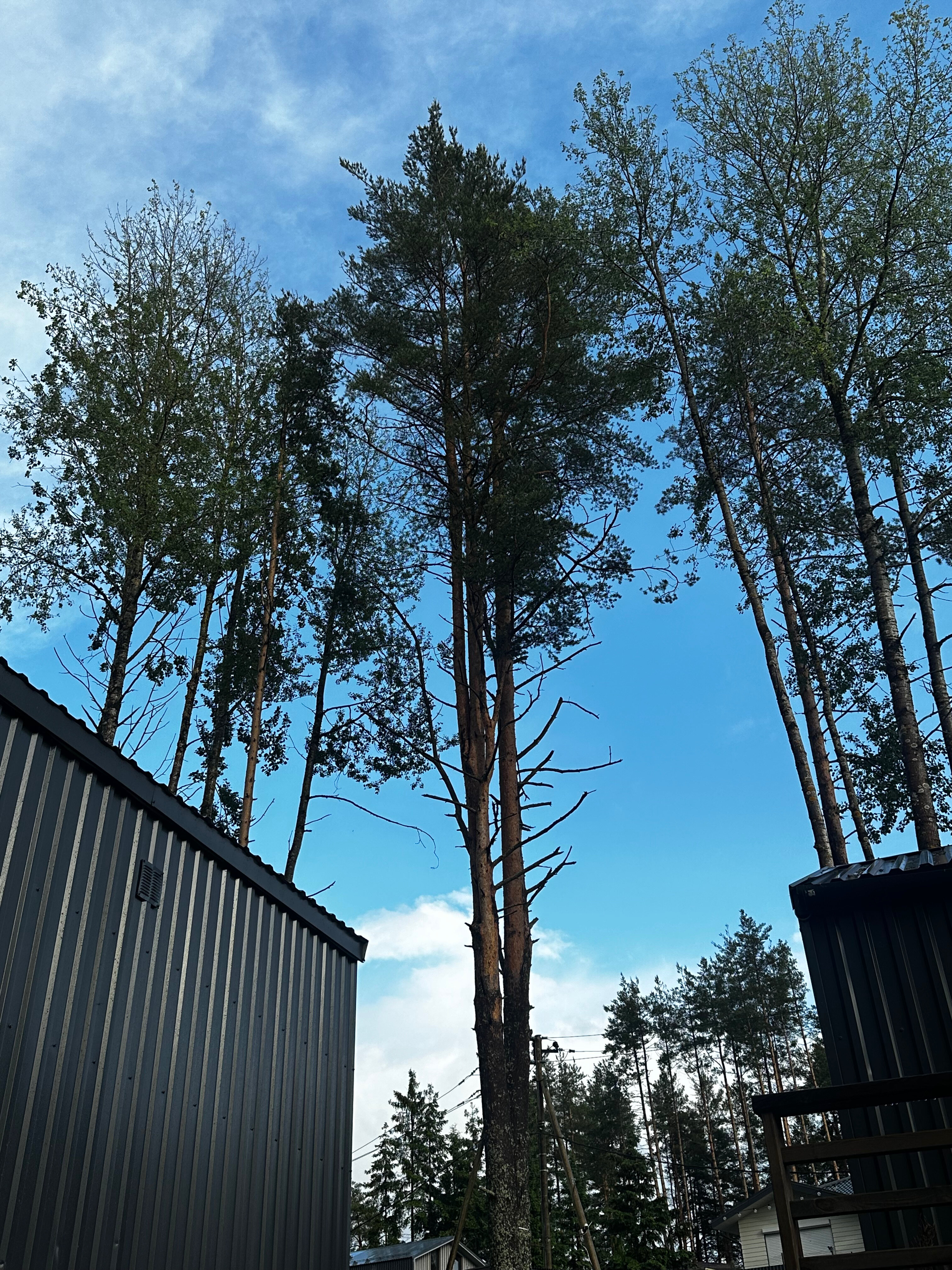 Фото Дача FeelWood