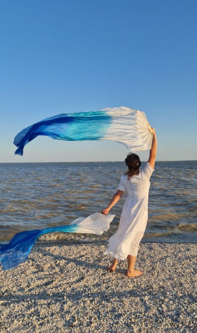 Фото Альбатрос