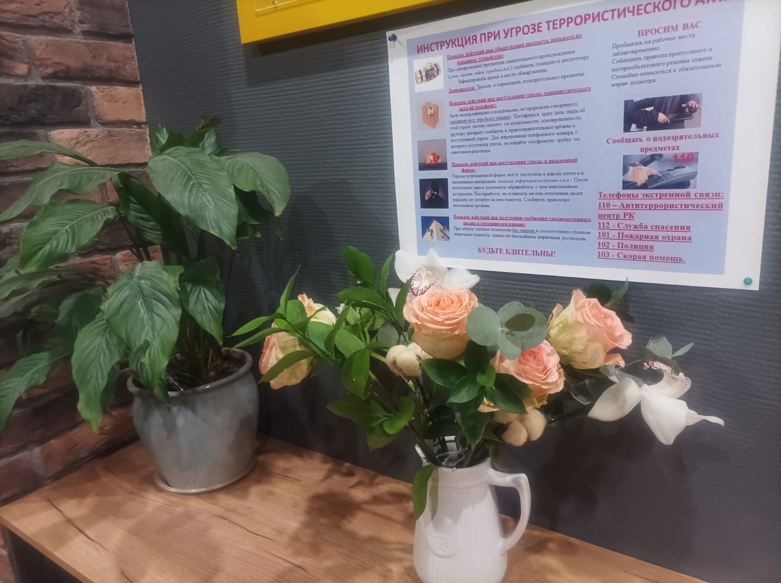 Фото Динамо Loft