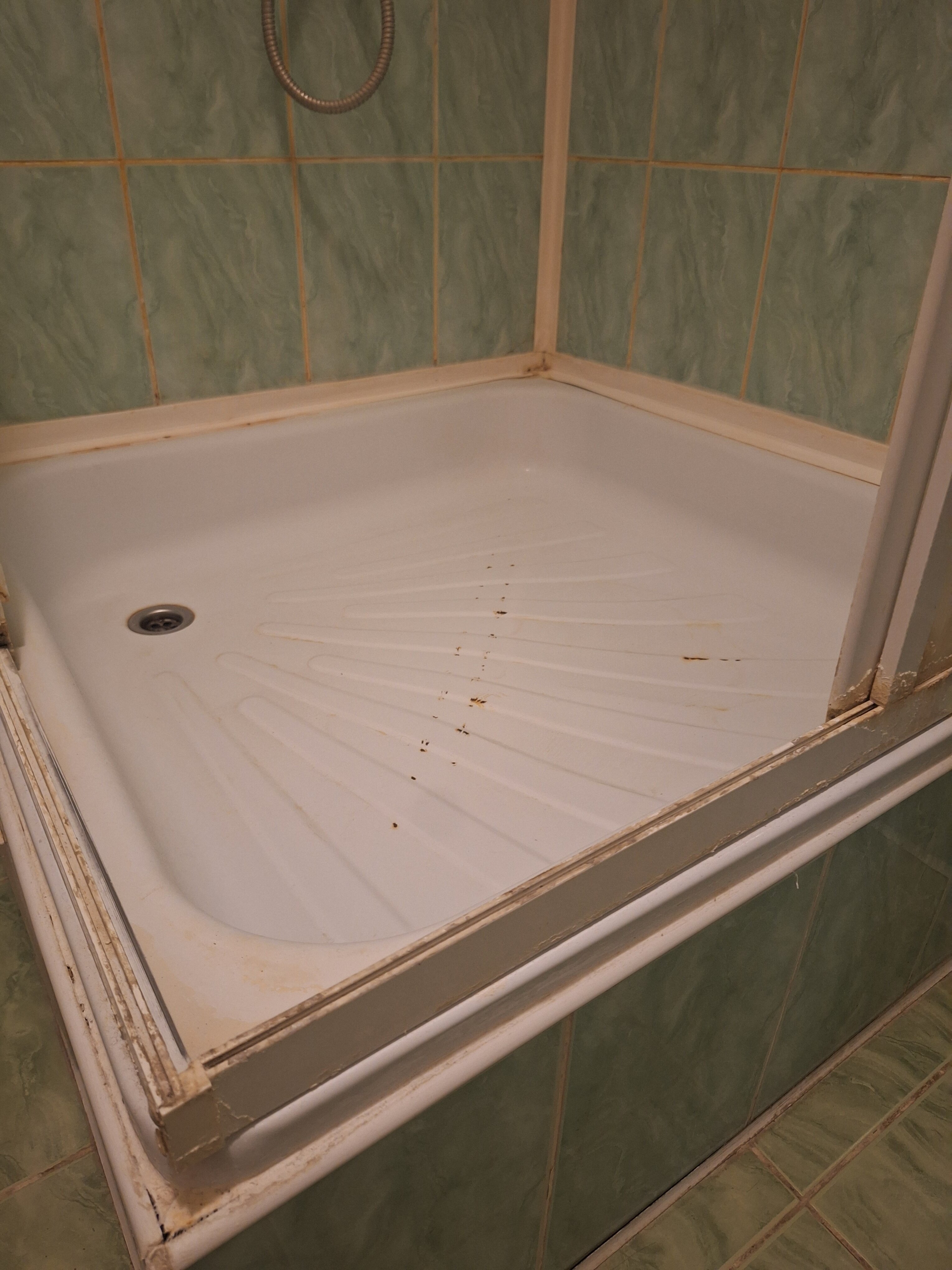 Фото Добрый Финн