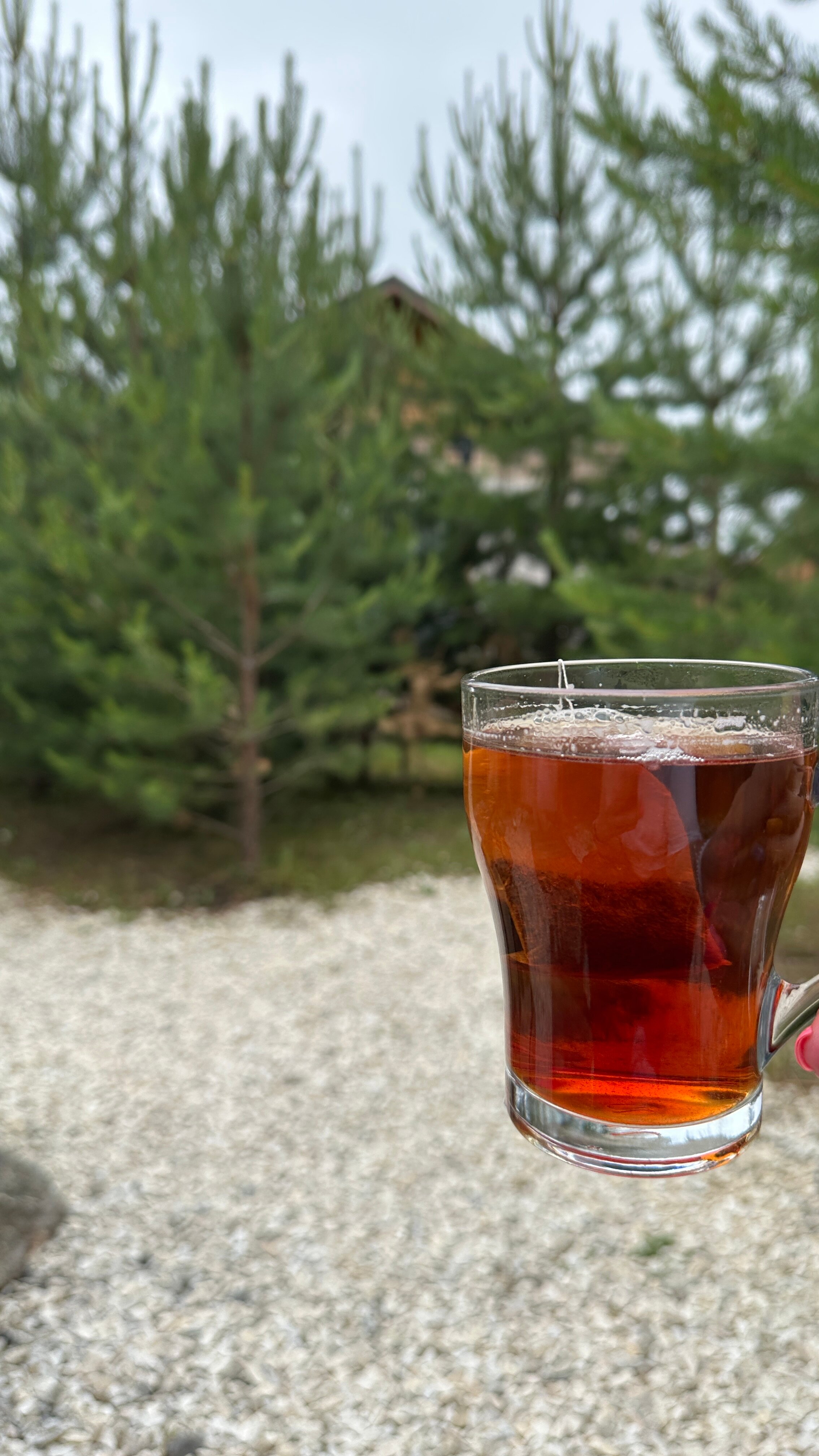 Фото Introvert House