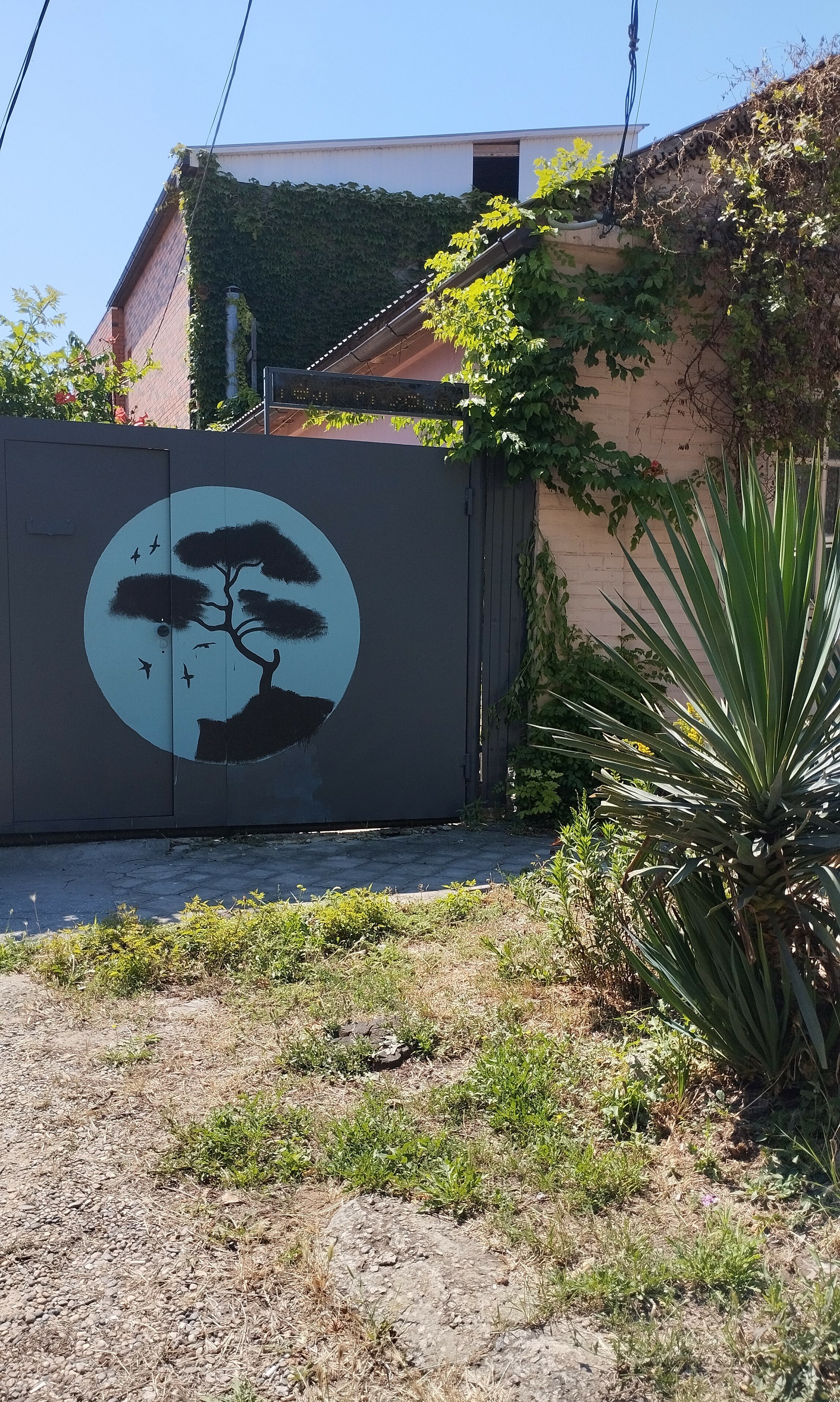 Фото Анапское взморье