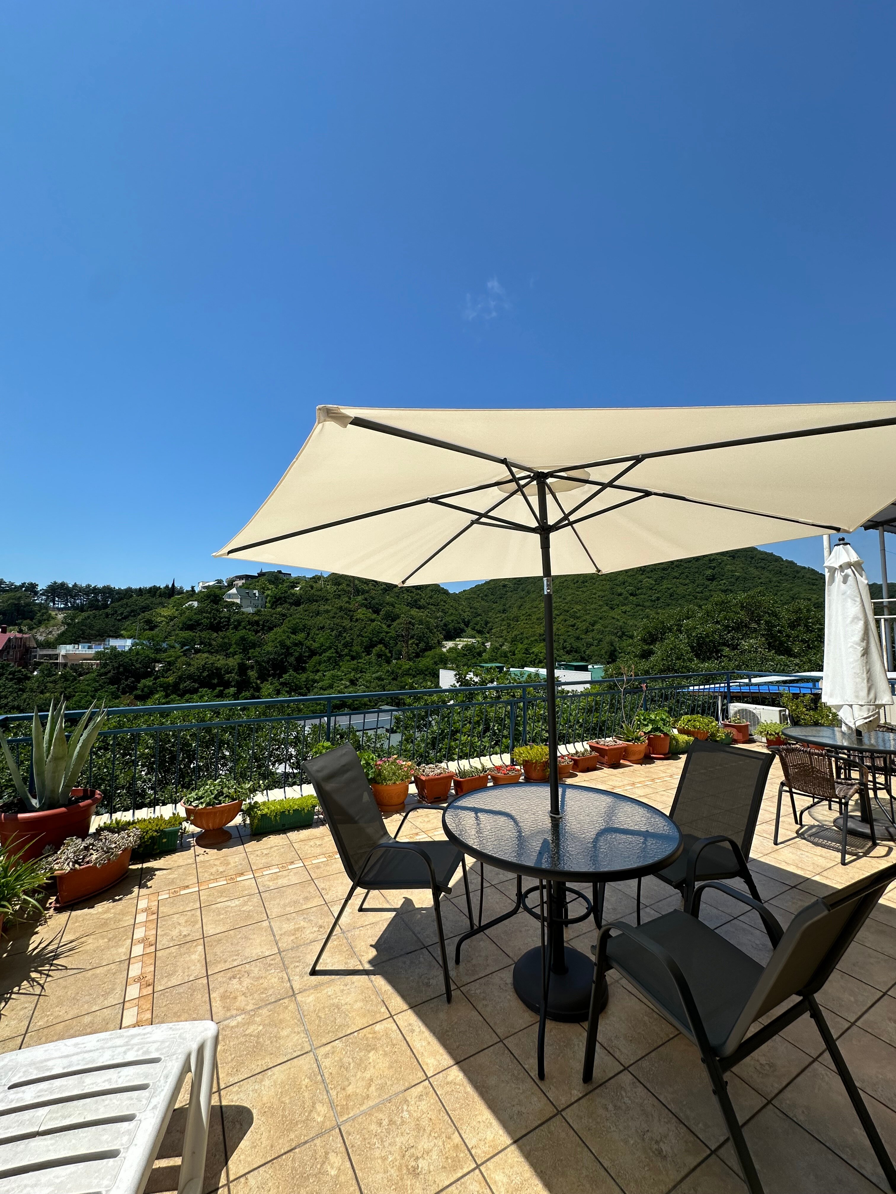 Фото Рамелия