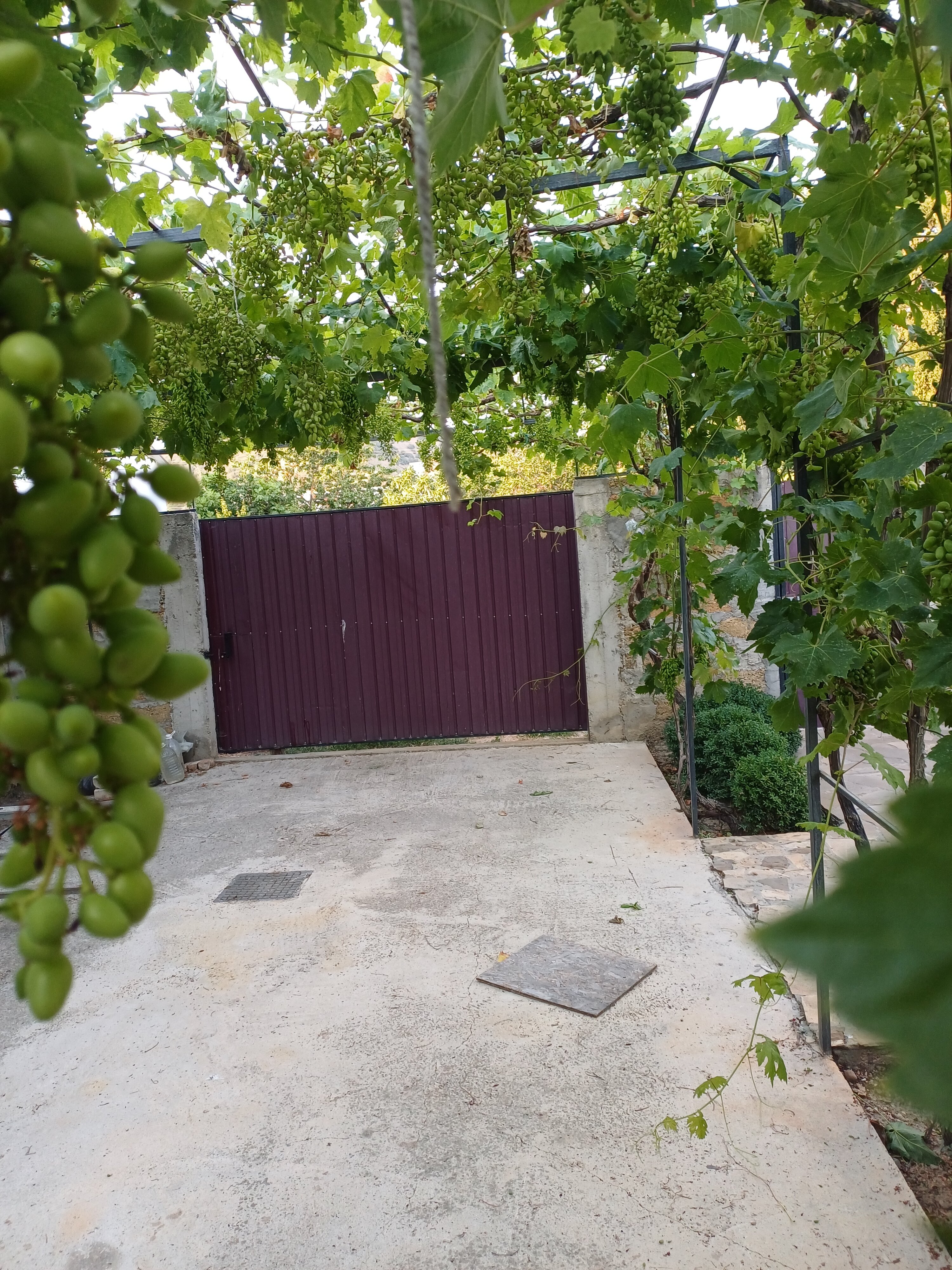 Фото Лето на Заречной