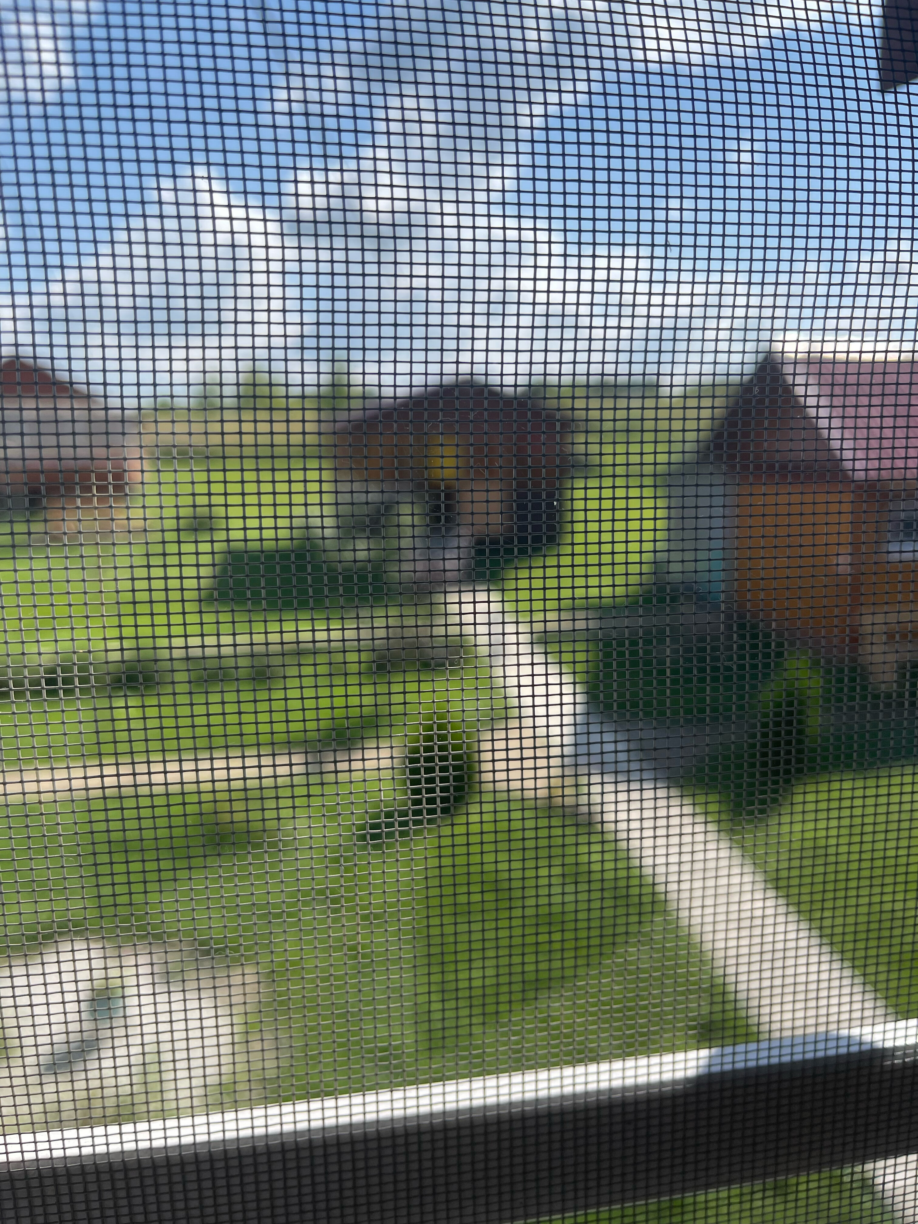 Фото Нагорный