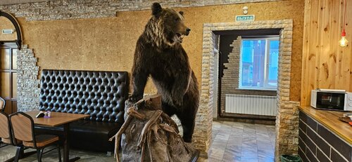 Үйдегі жалаңаш әйелдер