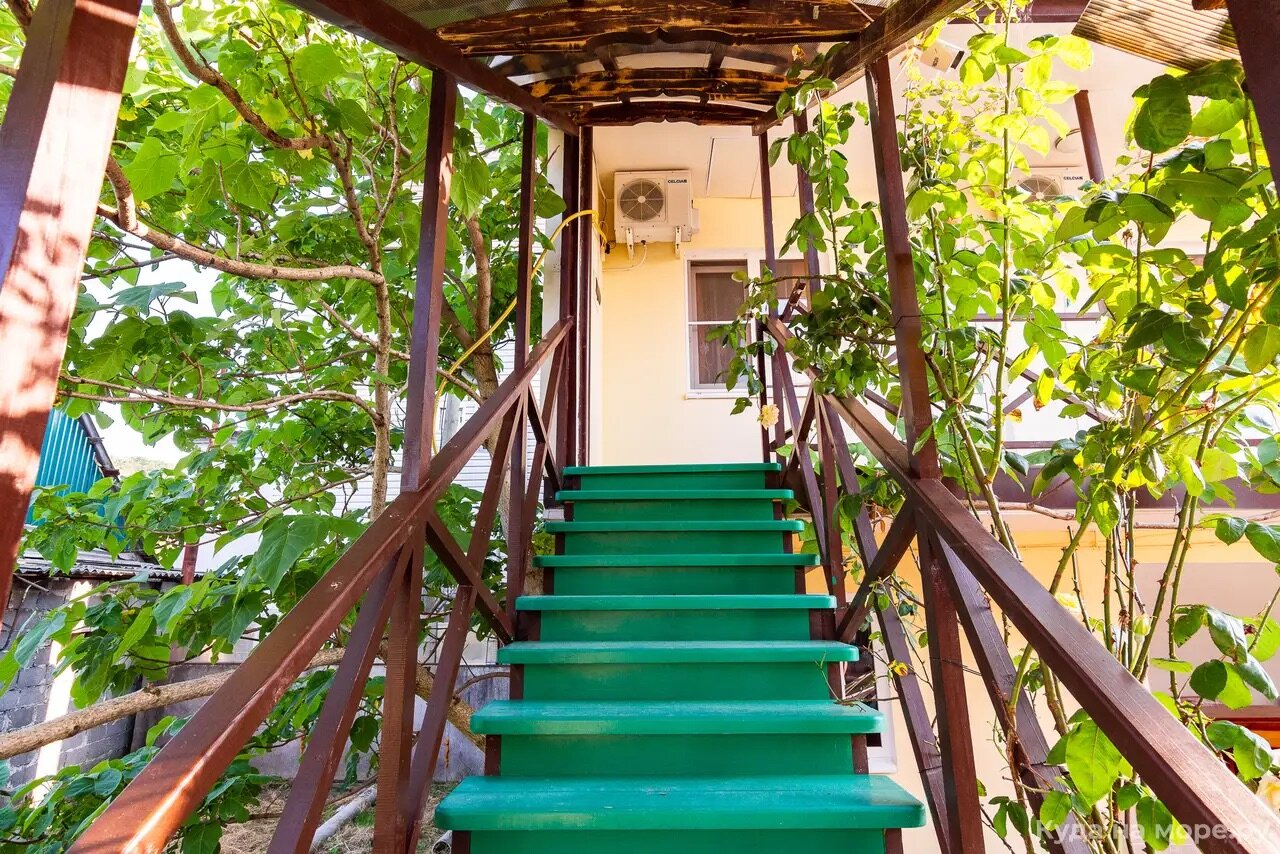 Фото Кипарис