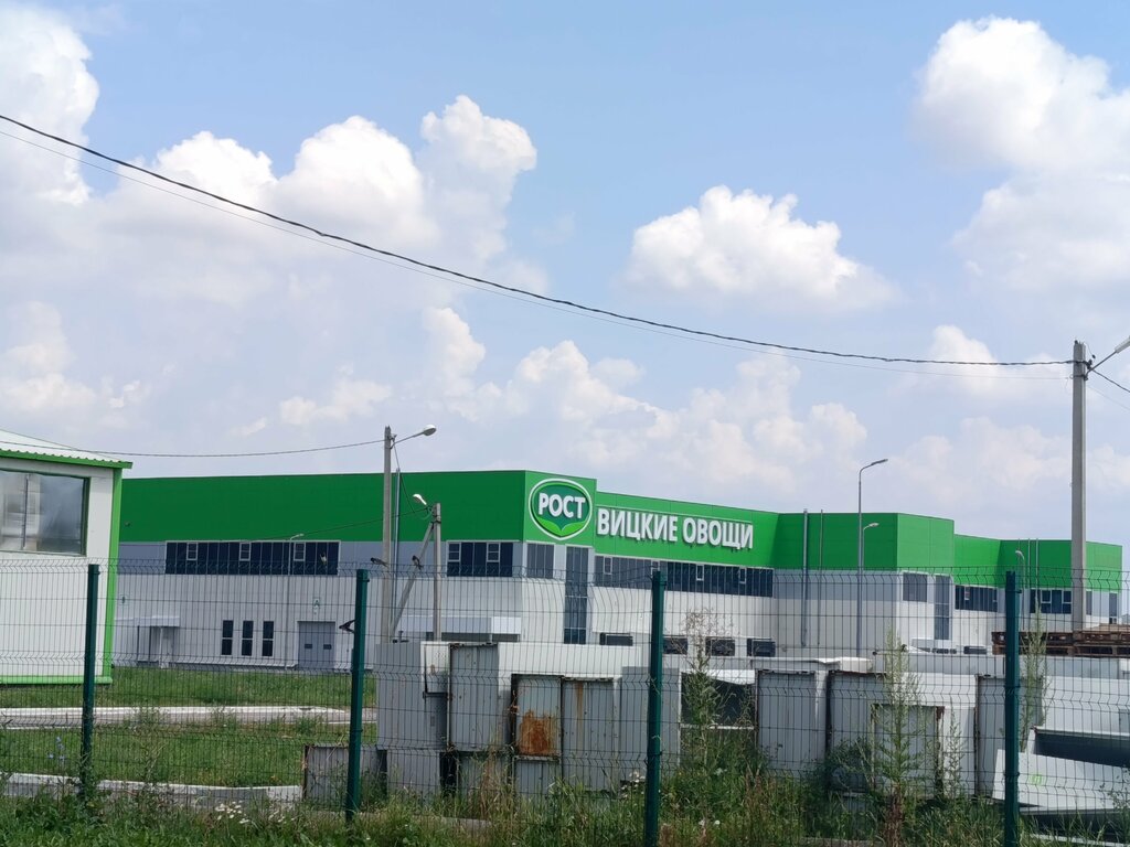 Tarım ürünleri firmaları Огурцы, помидоры, клубника, рассада, Moskova ve Moskovskaya oblastı, foto