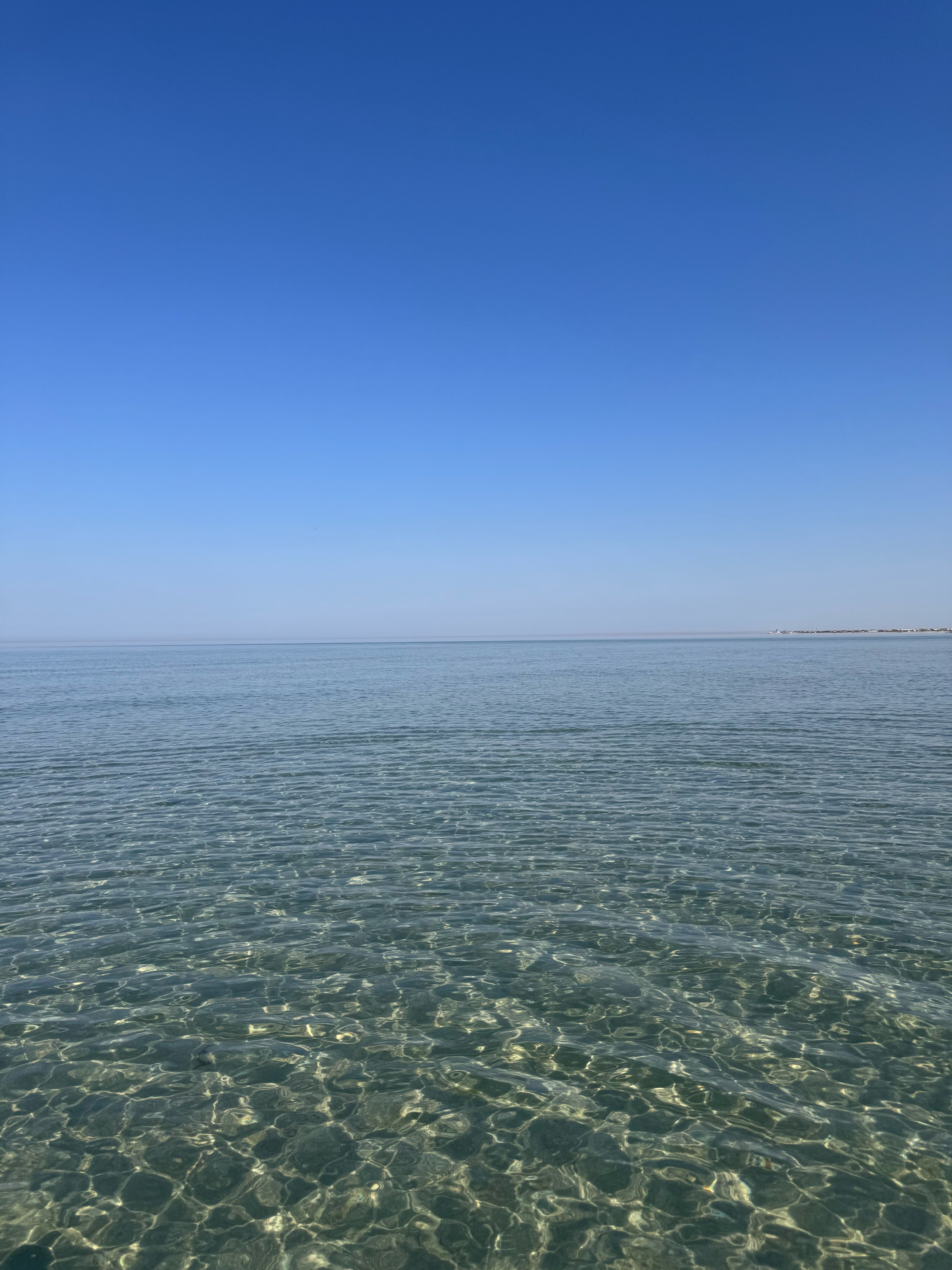 Фото Palm Beach Resort