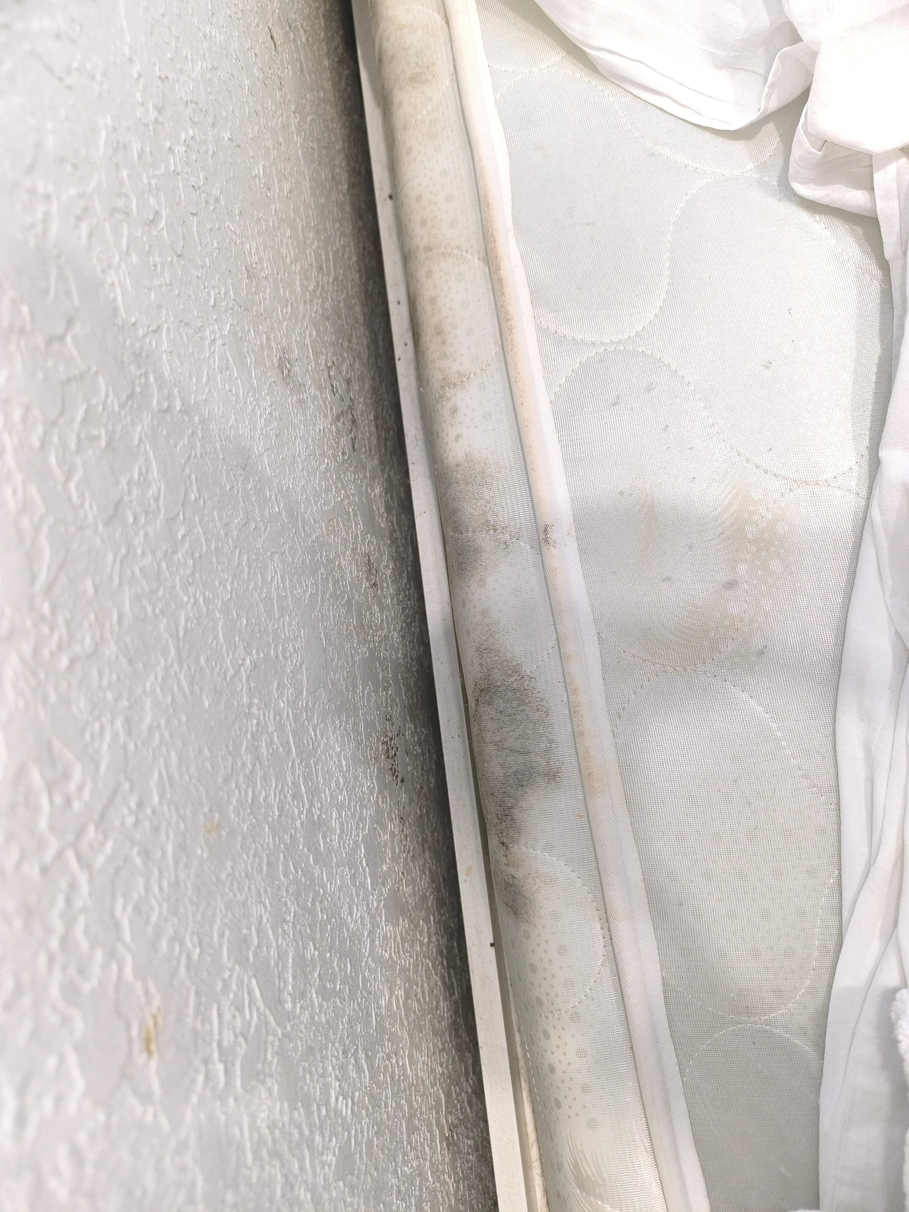 Фото Мой Питер