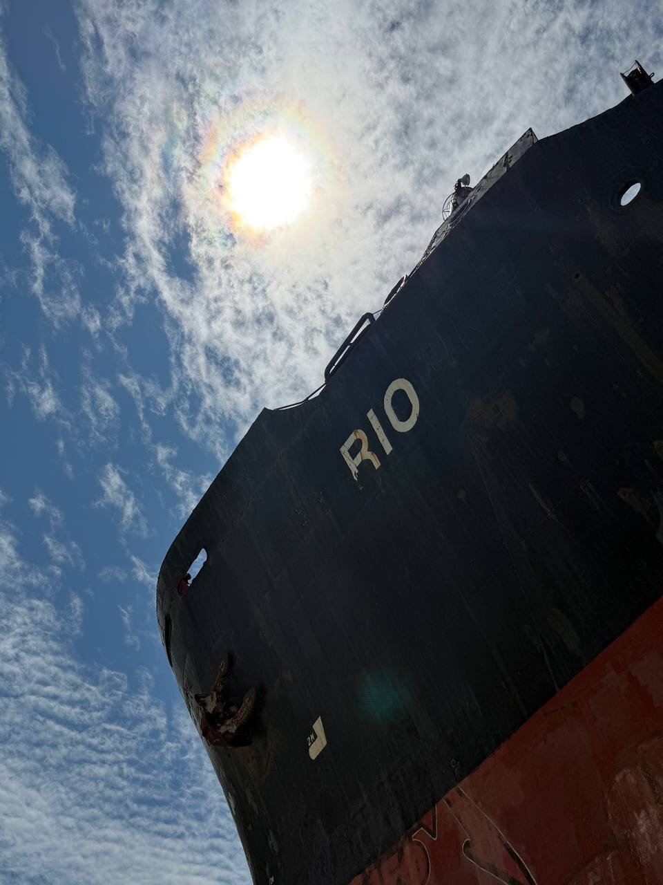 Фото Кедровая роща