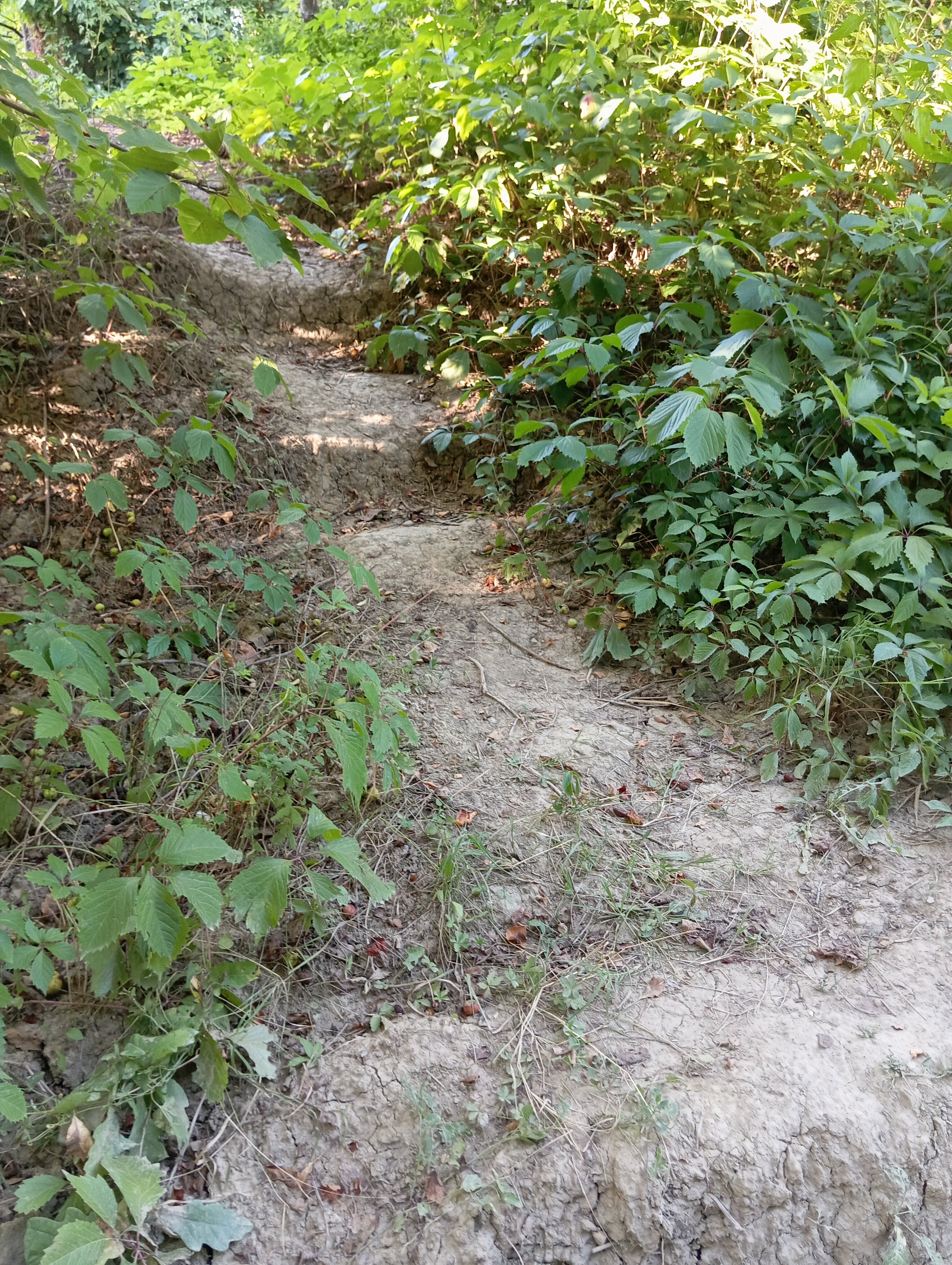 Фото Гармония воды