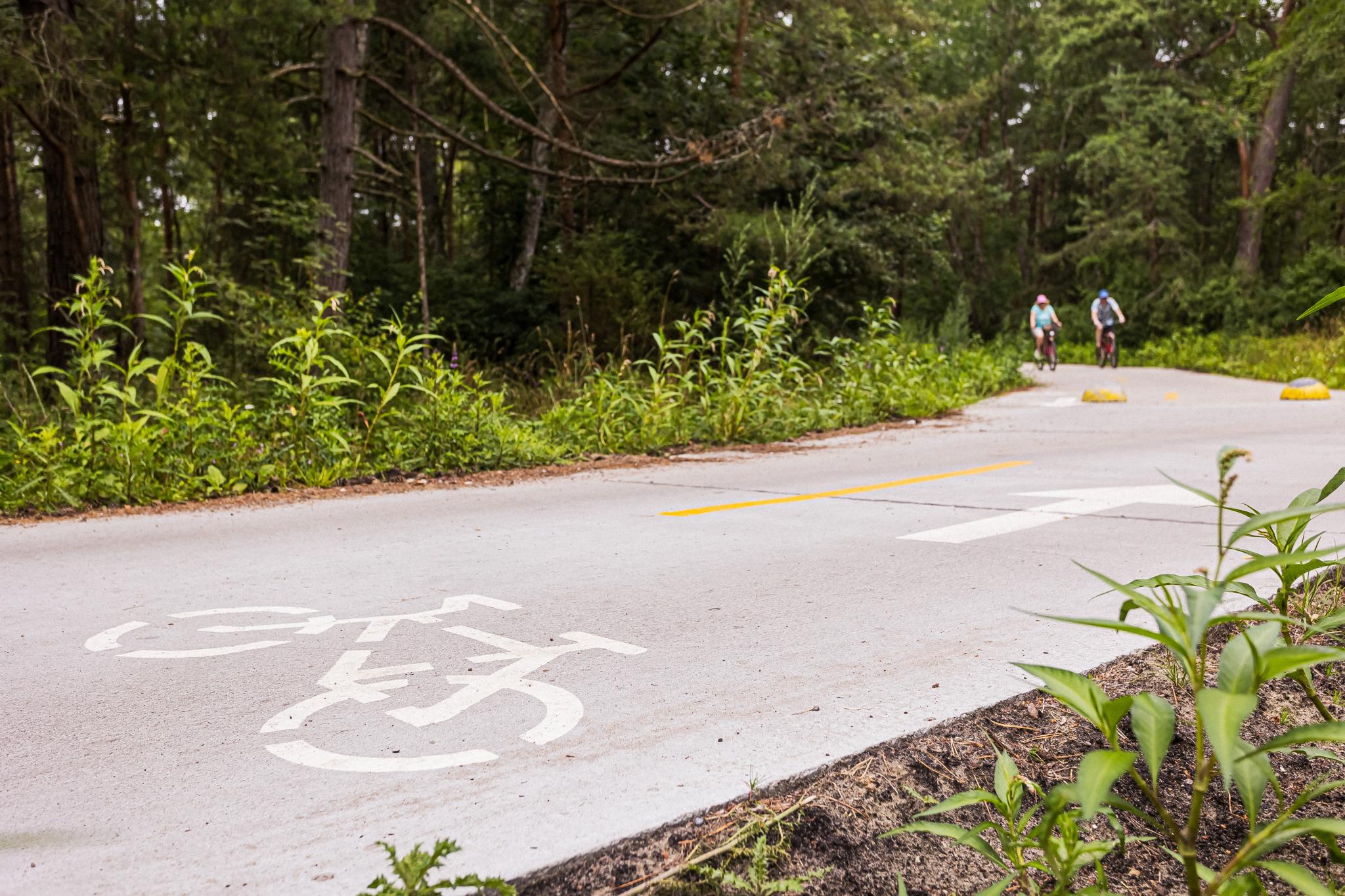 Фото ВитТех