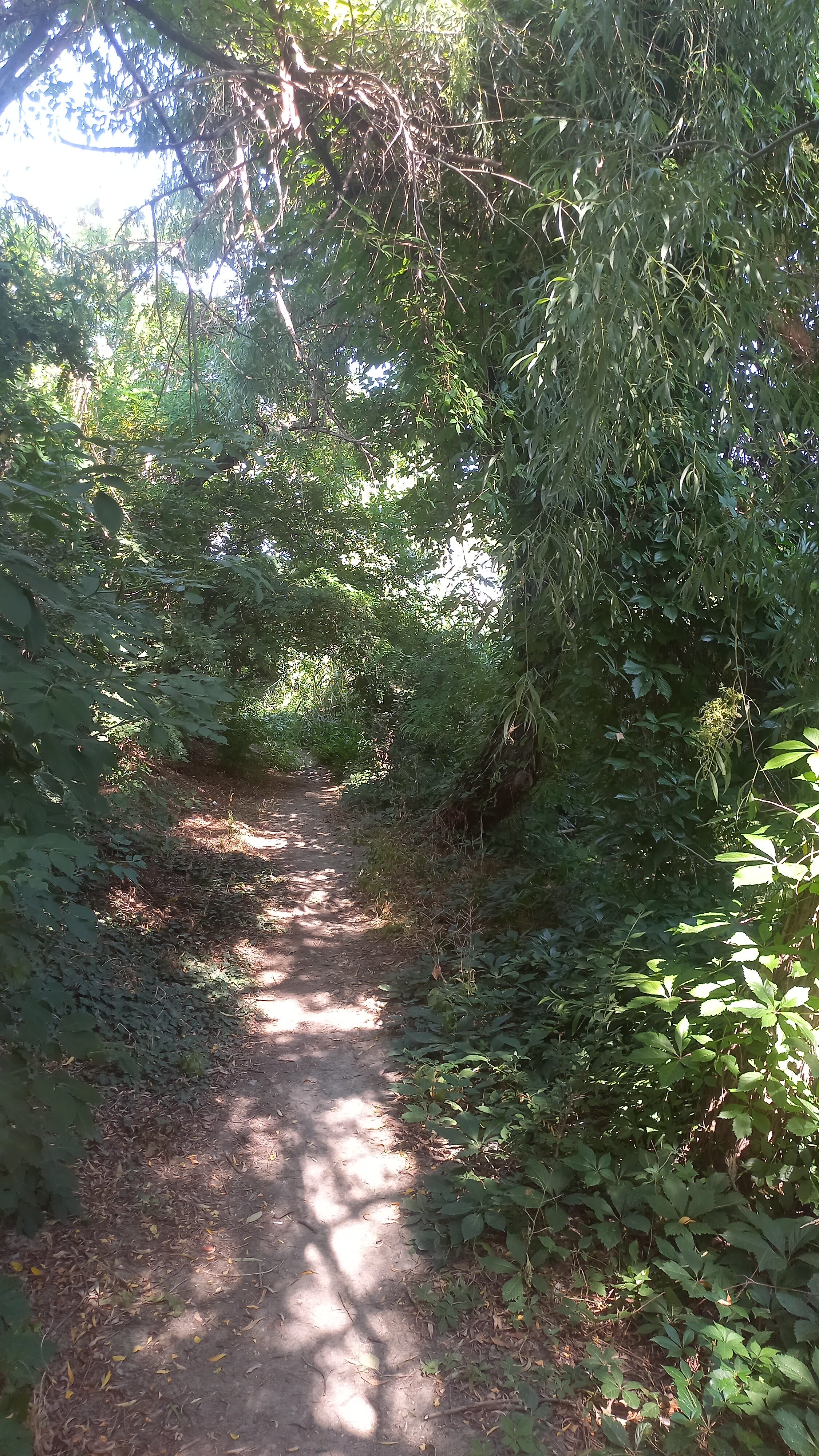 Фото Вид_Ок