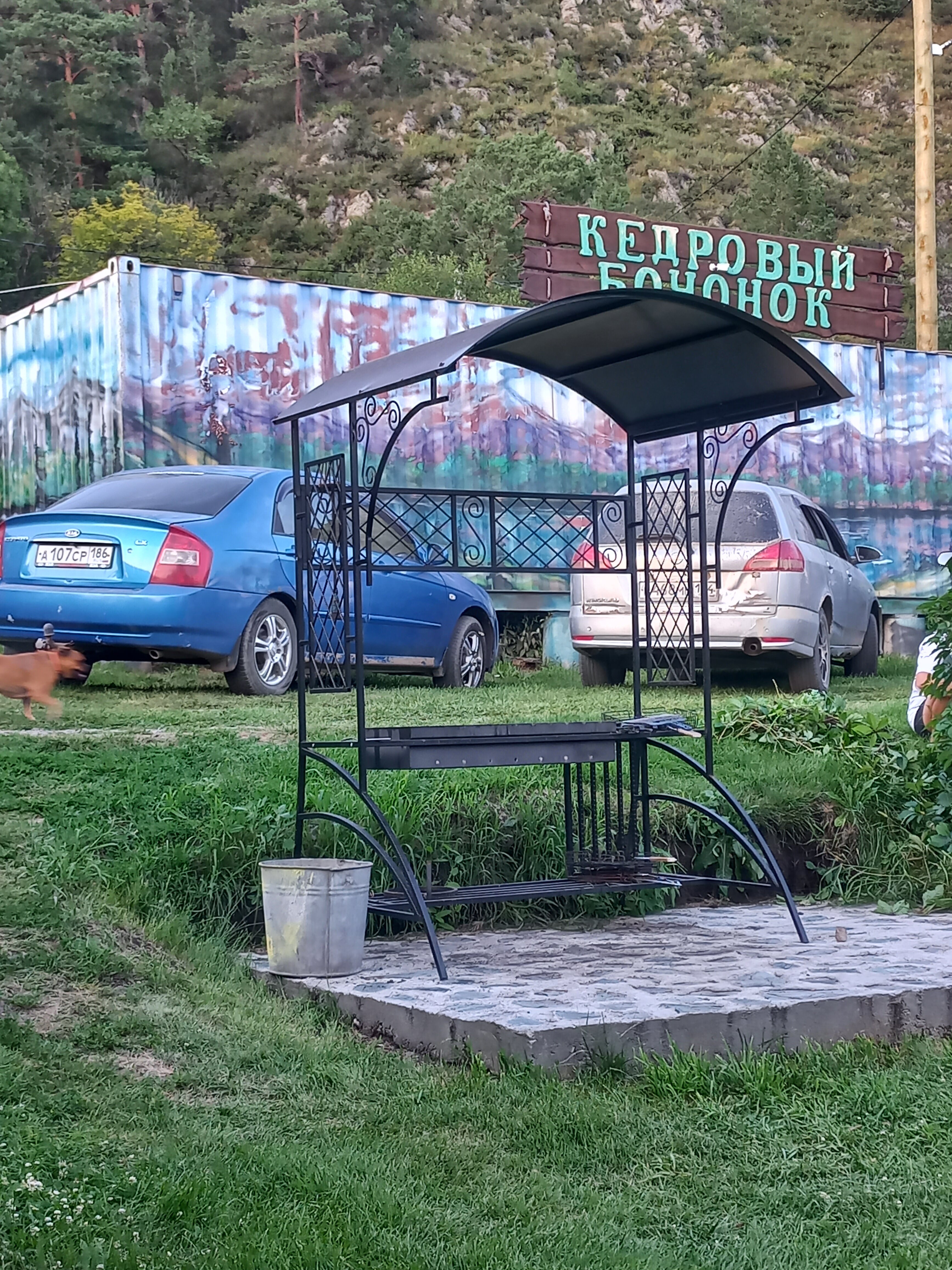 Фото Кедровый бочонок