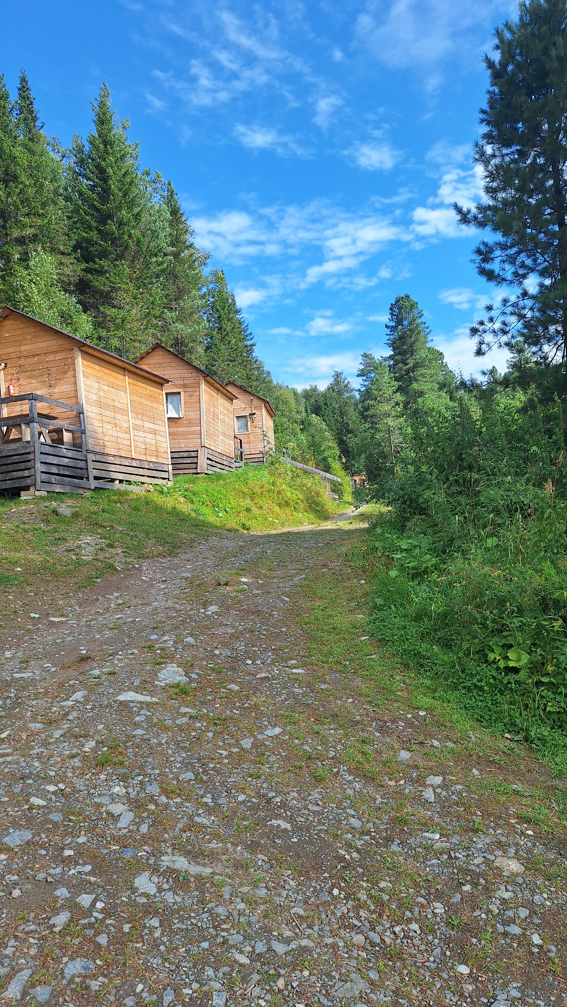 Фото Кедровый берег