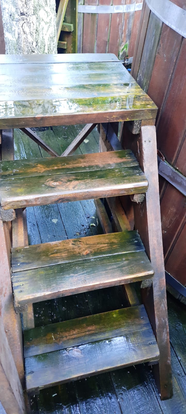 Фото Лесотерапия