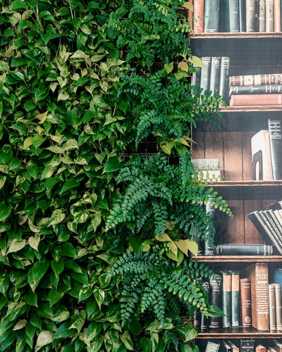 Гостиница Континенталь Green Dream в Ханты-Мансийске
