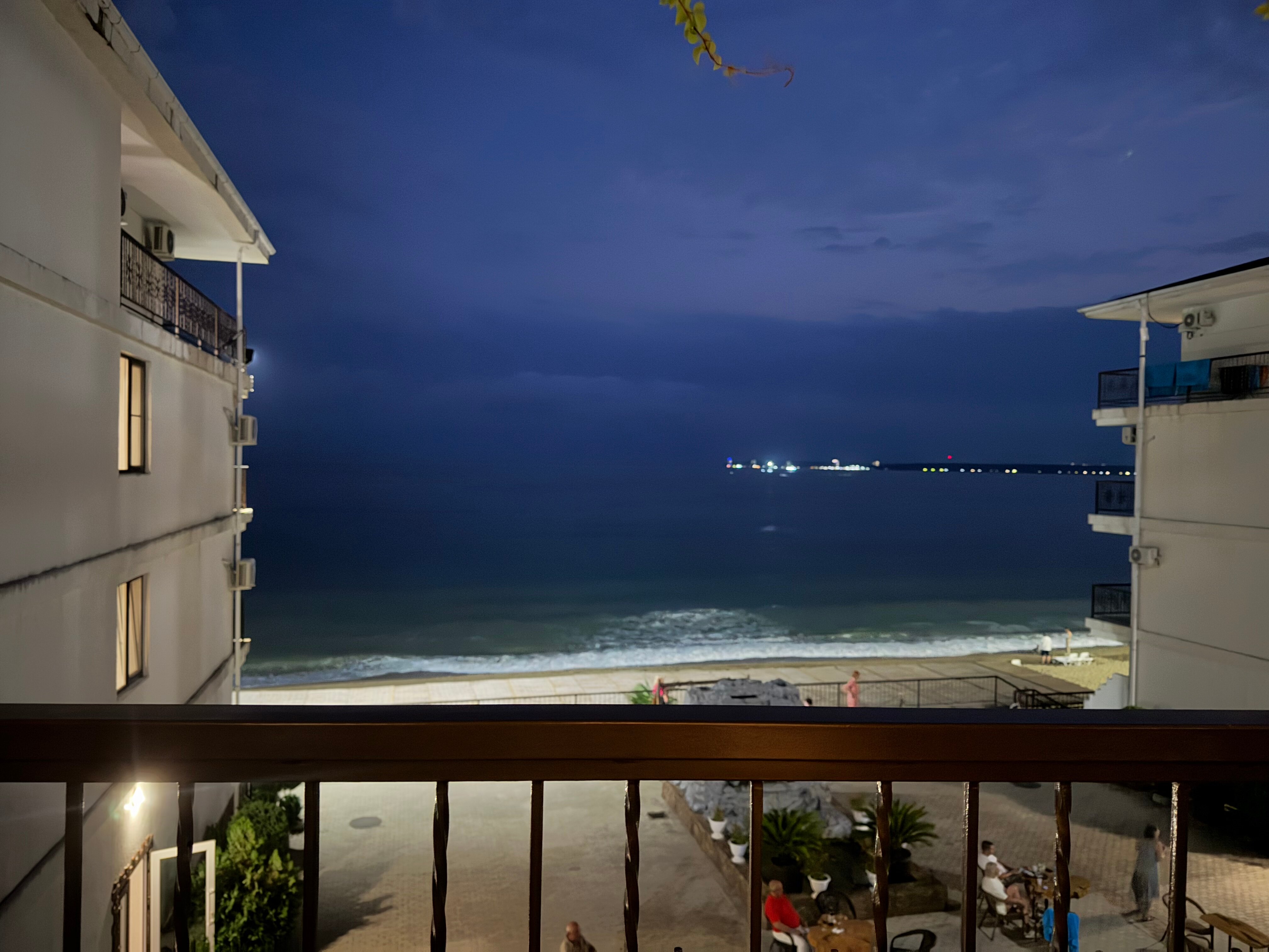 Фото Арбика