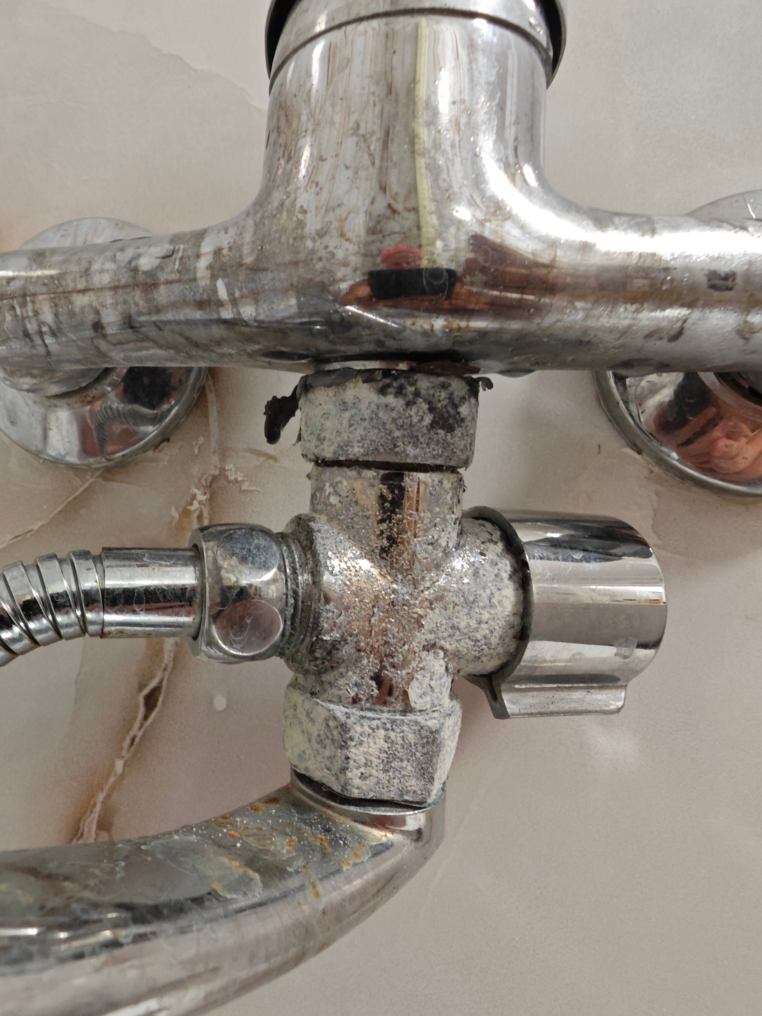 Фото Янтарная Корона