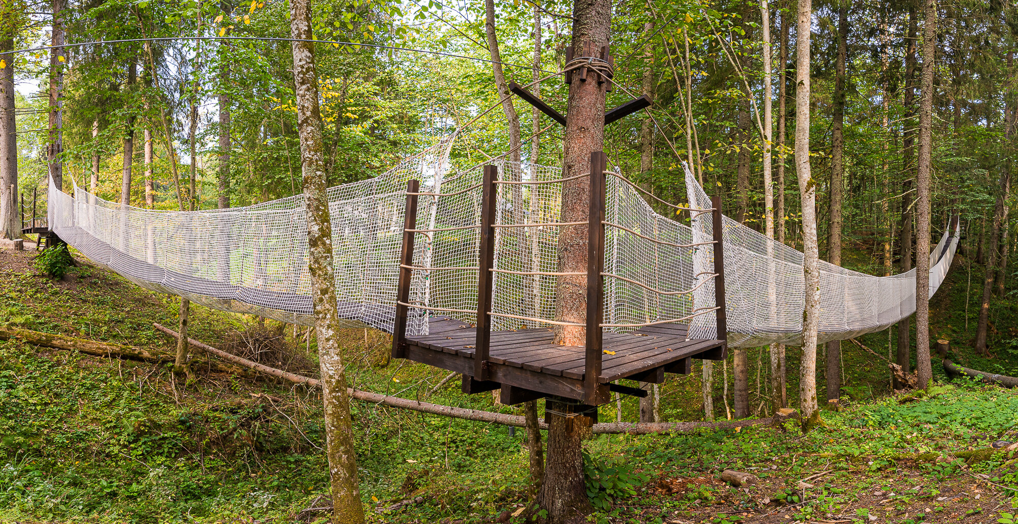 Фото  Времена года