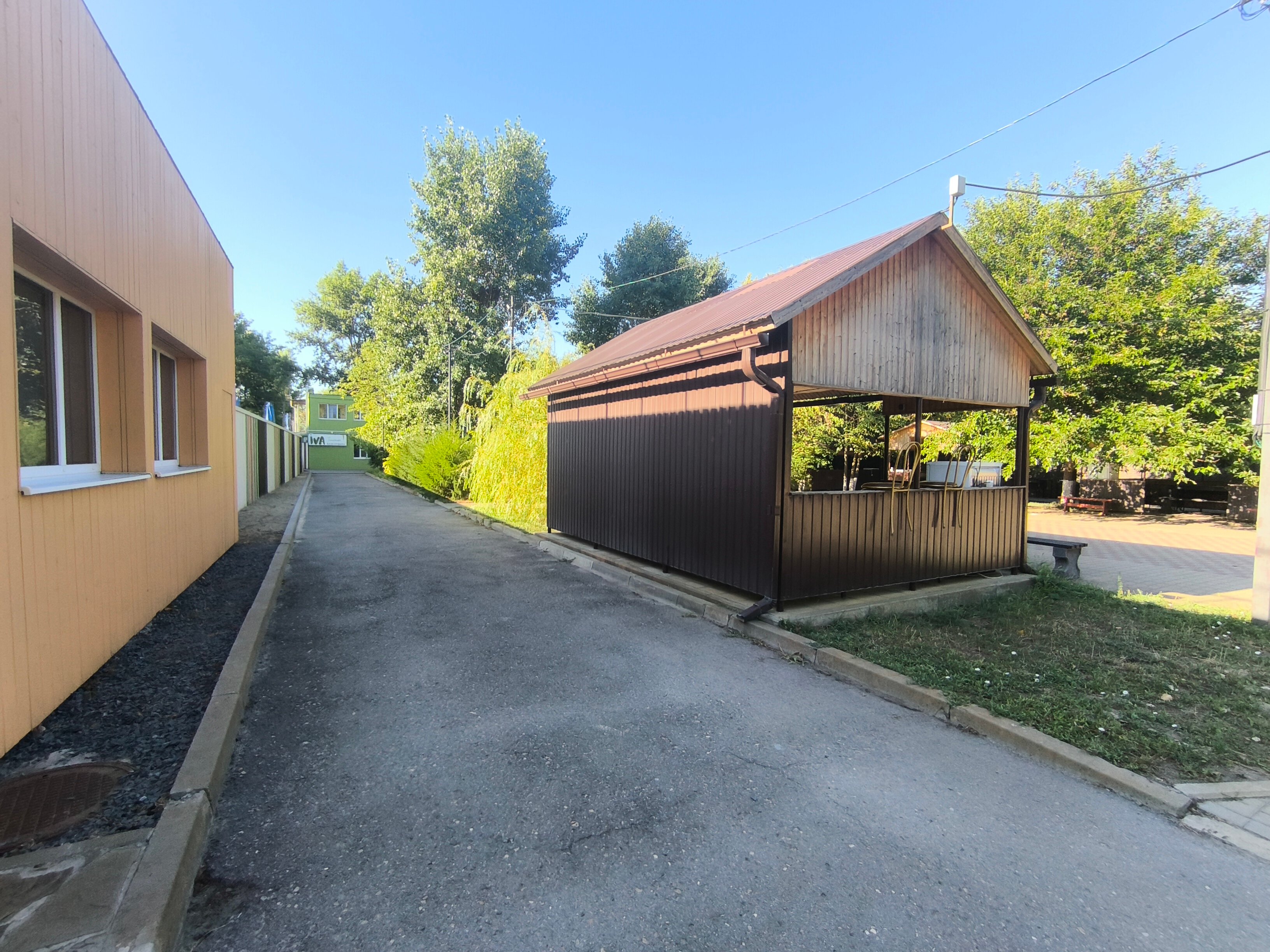 Фото Iva тенистая