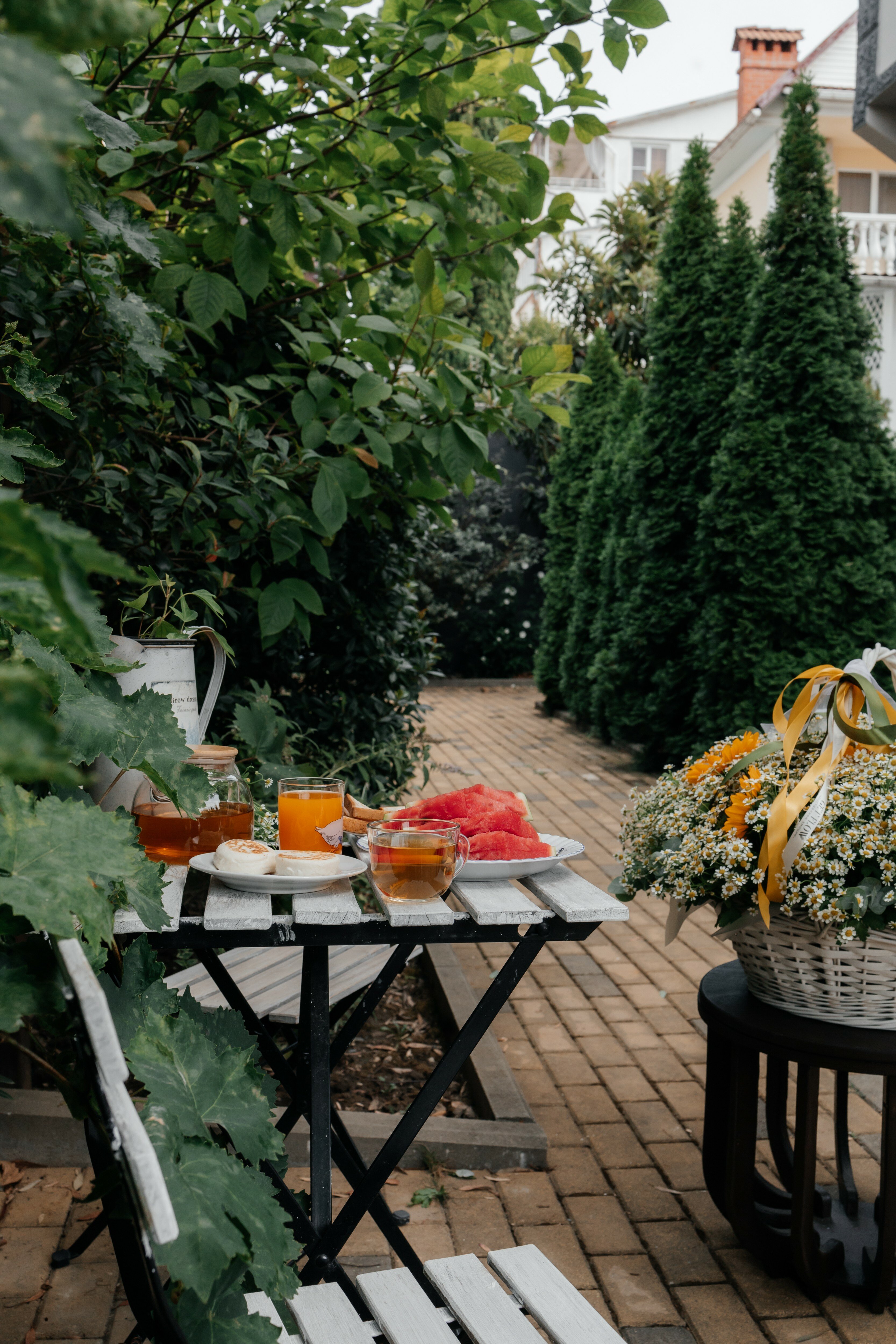 Фото Серый гусь